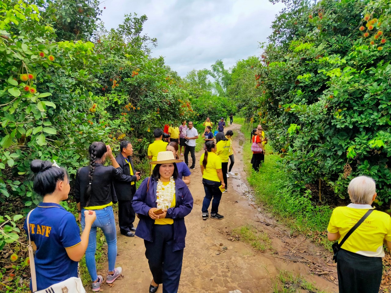 พช.หนองคาย นำส่วนราชการ ภาคเอกชน ท่องเที่ยวเชิงประเพณีวัฒนธรรมโดยชุมชน ณ บ้านโคกซวก อำเภอศรีเชียงใหม่ ตามโครงการ “ยกระดับการท่องเที่ยวเชิงประเพณีวัฒนธรรม กิจกรรมพัฒนายกระดับการท่องเที่ยวเชิงประเพณีวัฒนธรรม (ภาคตะวันออกเฉียงเหนือ)”