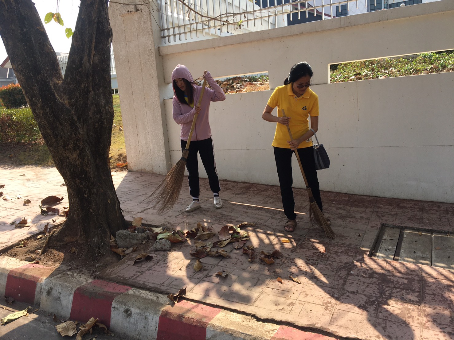 พช.หนองคาย ร่วมกิจกรรมตามแผนปฏิบัติงานโครงการบ้านสวย เมืองงาม “หนองคายเมืองท่องเที่ยวและน่าอยู่ ริมฝั่งโขง” ณ บริเวณถนนข้างศูนย์ราชการฝั่งเอเชียพีค