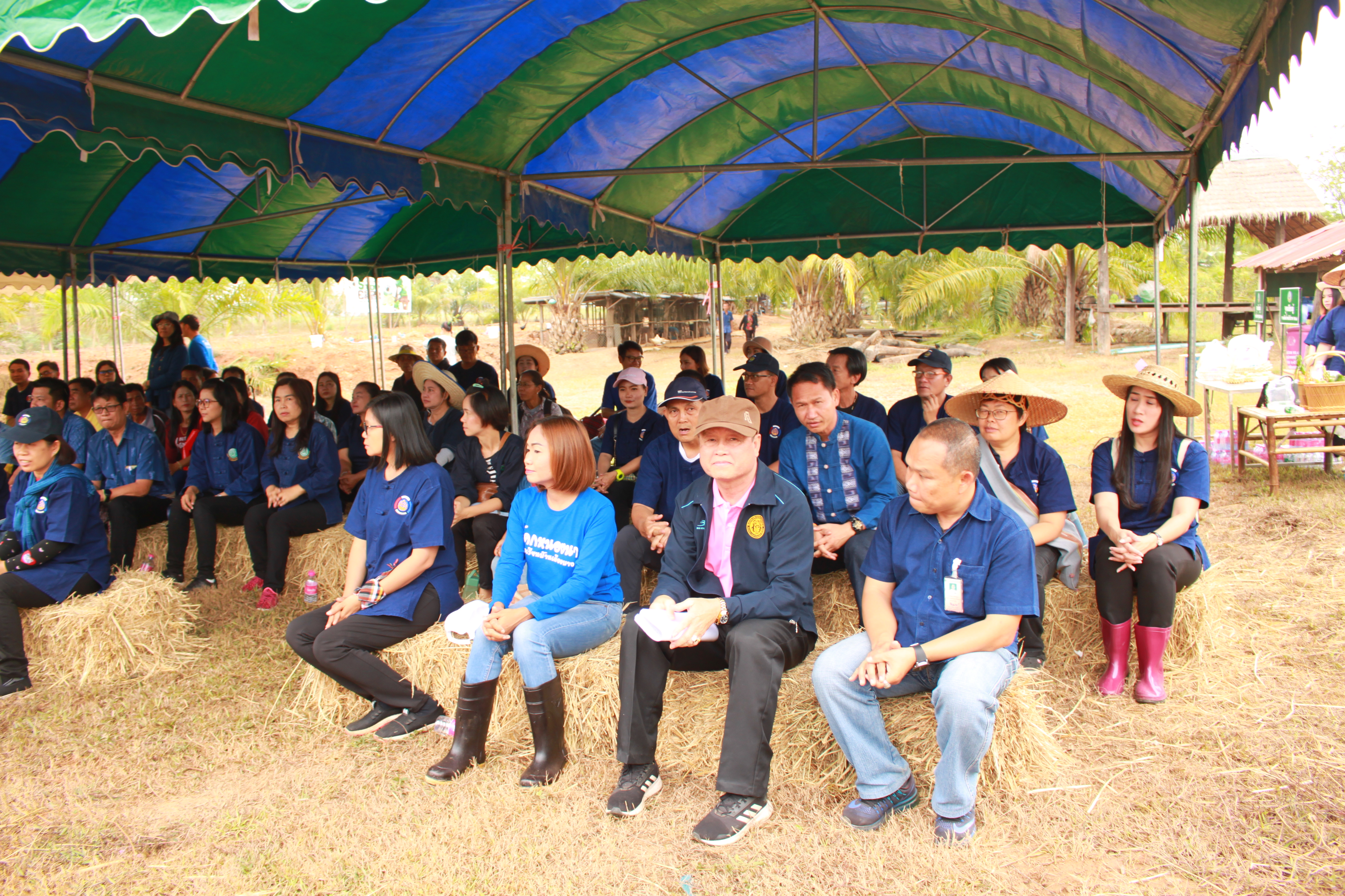 จังหวัดหนองคาย จัดกิจกรรม “พายติ๊บข้าว ไปเอาแฮง แบกบักจกไปขุดดิน” เอามื้อสามัคคี โคก หนอง นา@หนองคาย