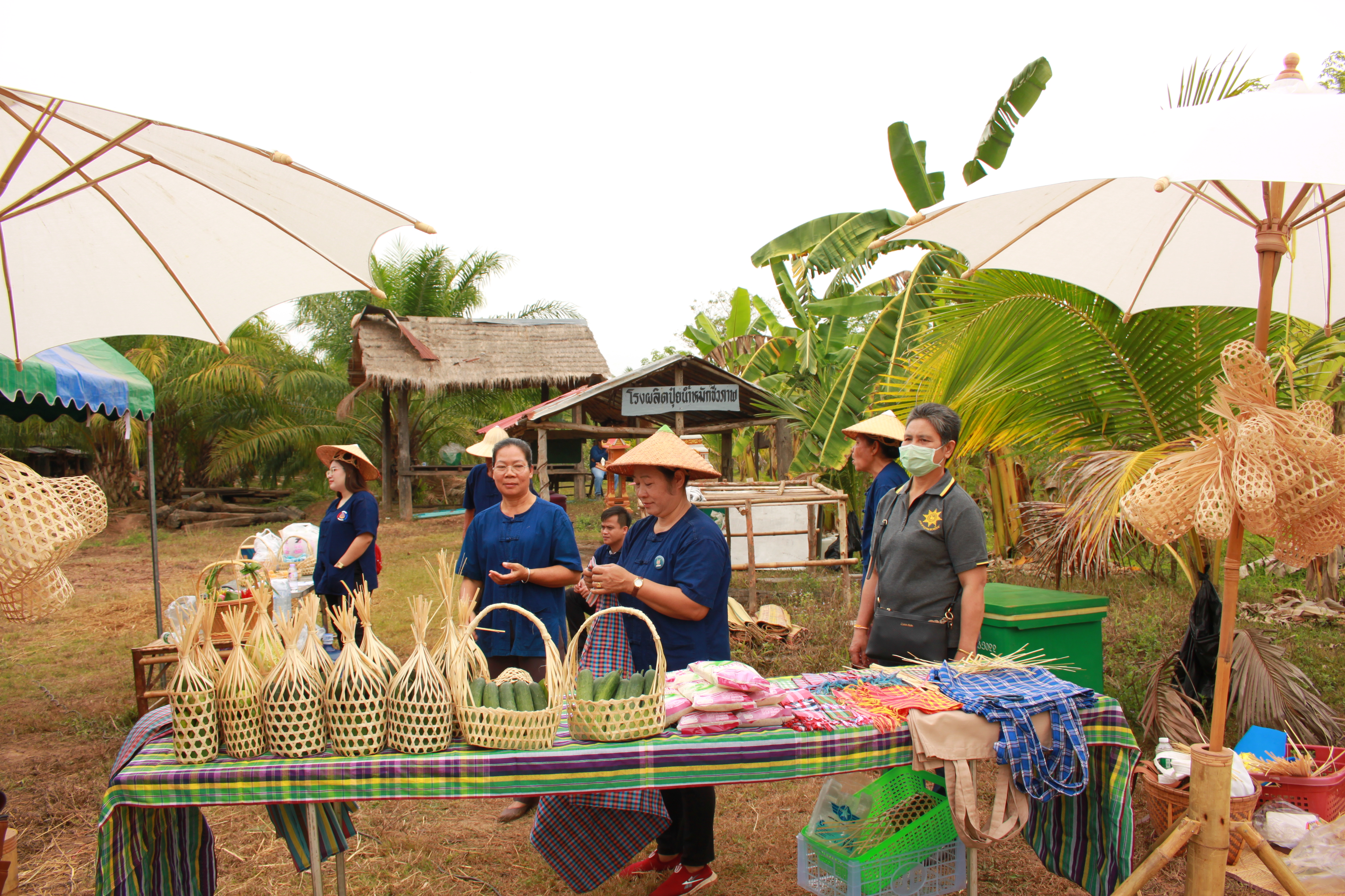 จังหวัดหนองคาย จัดกิจกรรม “พายติ๊บข้าว ไปเอาแฮง แบกบักจกไปขุดดิน” เอามื้อสามัคคี โคก หนอง นา@หนองคาย