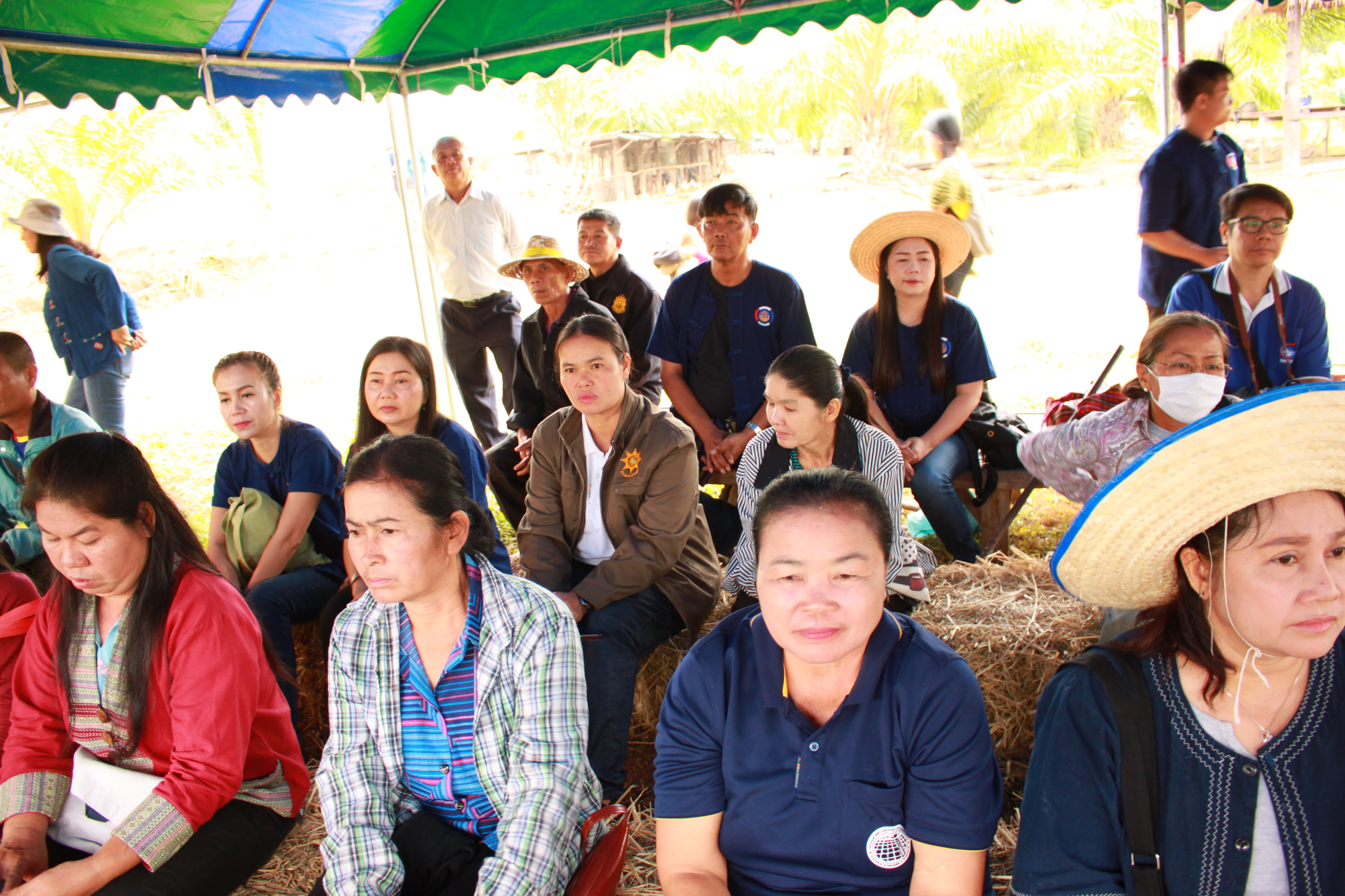 จังหวัดหนองคาย จัดกิจกรรม “พายติ๊บข้าว ไปเอาแฮง แบกบักจกไปขุดดิน” เอามื้อสามัคคี โคก หนอง นา@หนองคาย