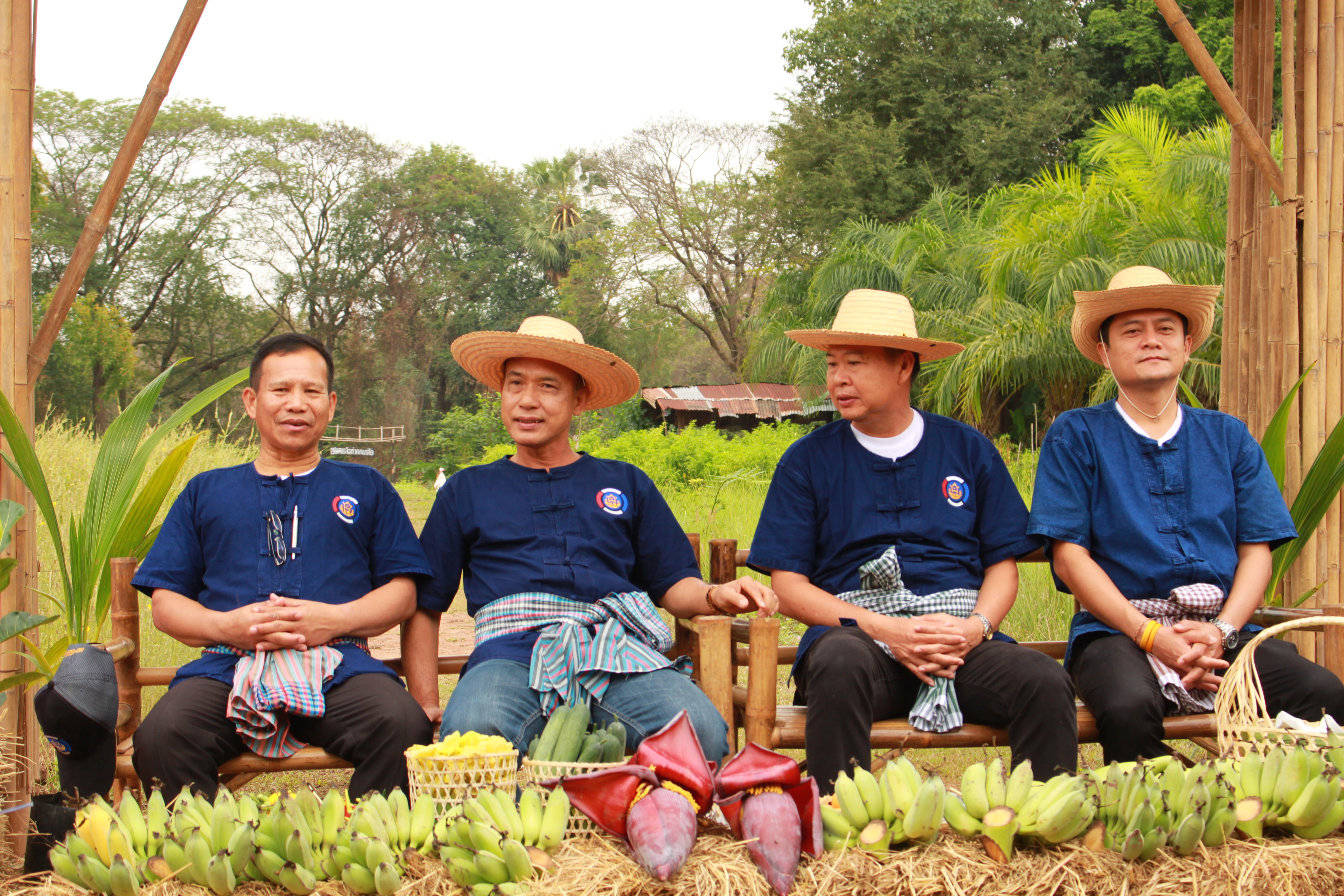 จังหวัดหนองคาย จัดกิจกรรม “พายติ๊บข้าว ไปเอาแฮง แบกบักจกไปขุดดิน” เอามื้อสามัคคี โคก หนอง นา@หนองคาย