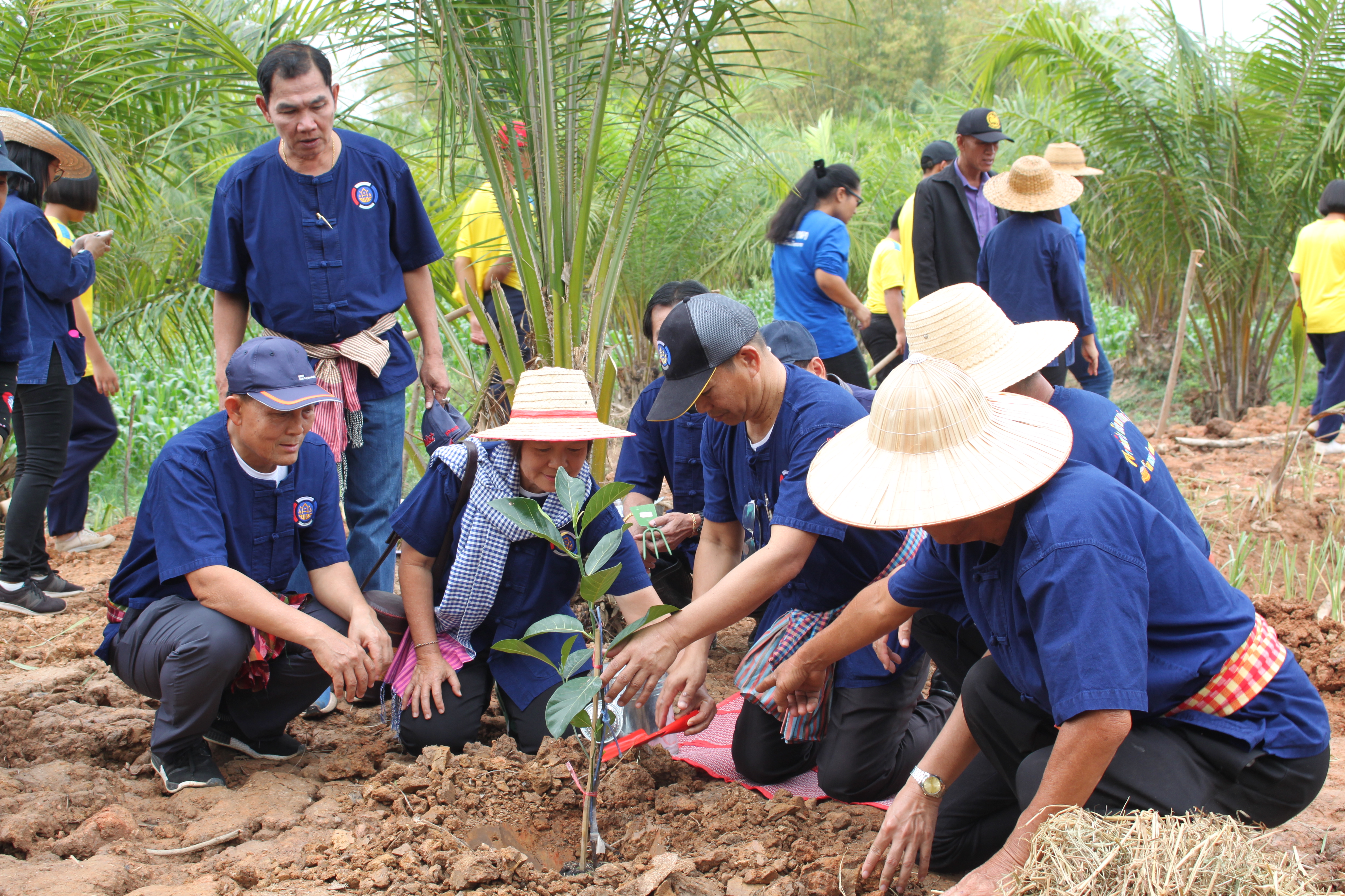 จังหวัดหนองคาย จัดกิจกรรม “พายติ๊บข้าว ไปเอาแฮง แบกบักจกไปขุดดิน” เอามื้อสามัคคี โคก หนอง นา@หนองคาย