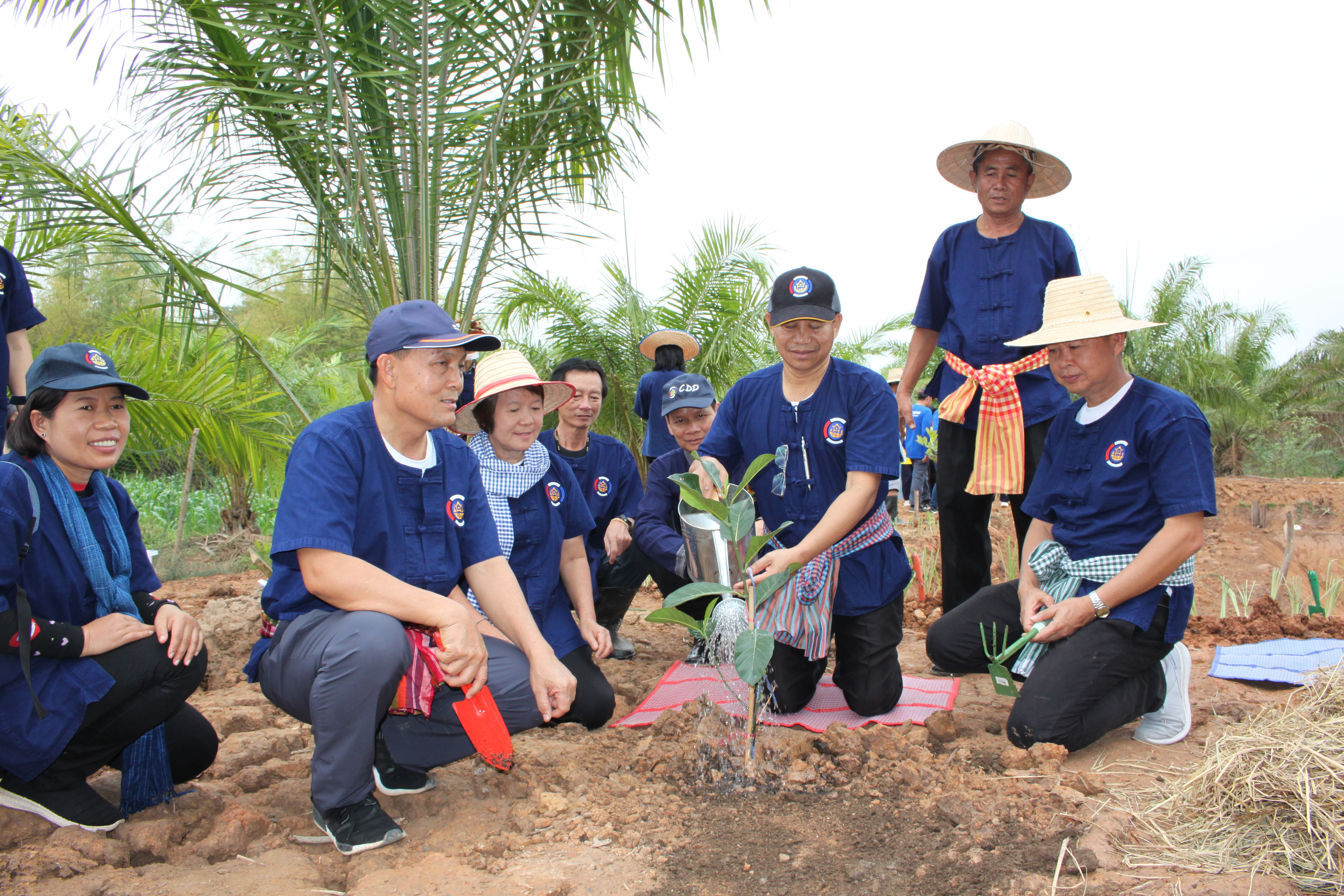 จังหวัดหนองคาย จัดกิจกรรม “พายติ๊บข้าว ไปเอาแฮง แบกบักจกไปขุดดิน” เอามื้อสามัคคี โคก หนอง นา@หนองคาย