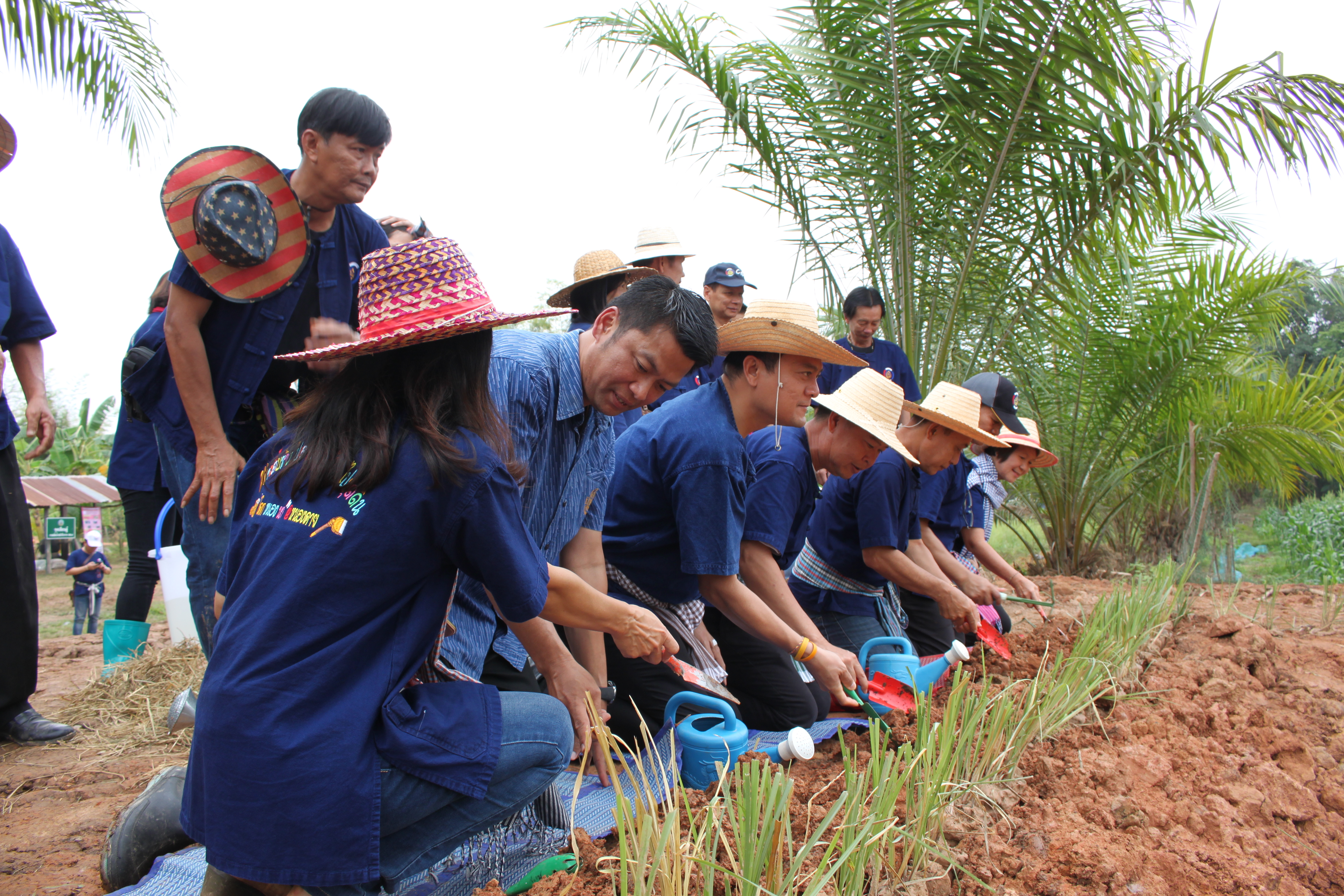 จังหวัดหนองคาย จัดกิจกรรม “พายติ๊บข้าว ไปเอาแฮง แบกบักจกไปขุดดิน” เอามื้อสามัคคี โคก หนอง นา@หนองคาย