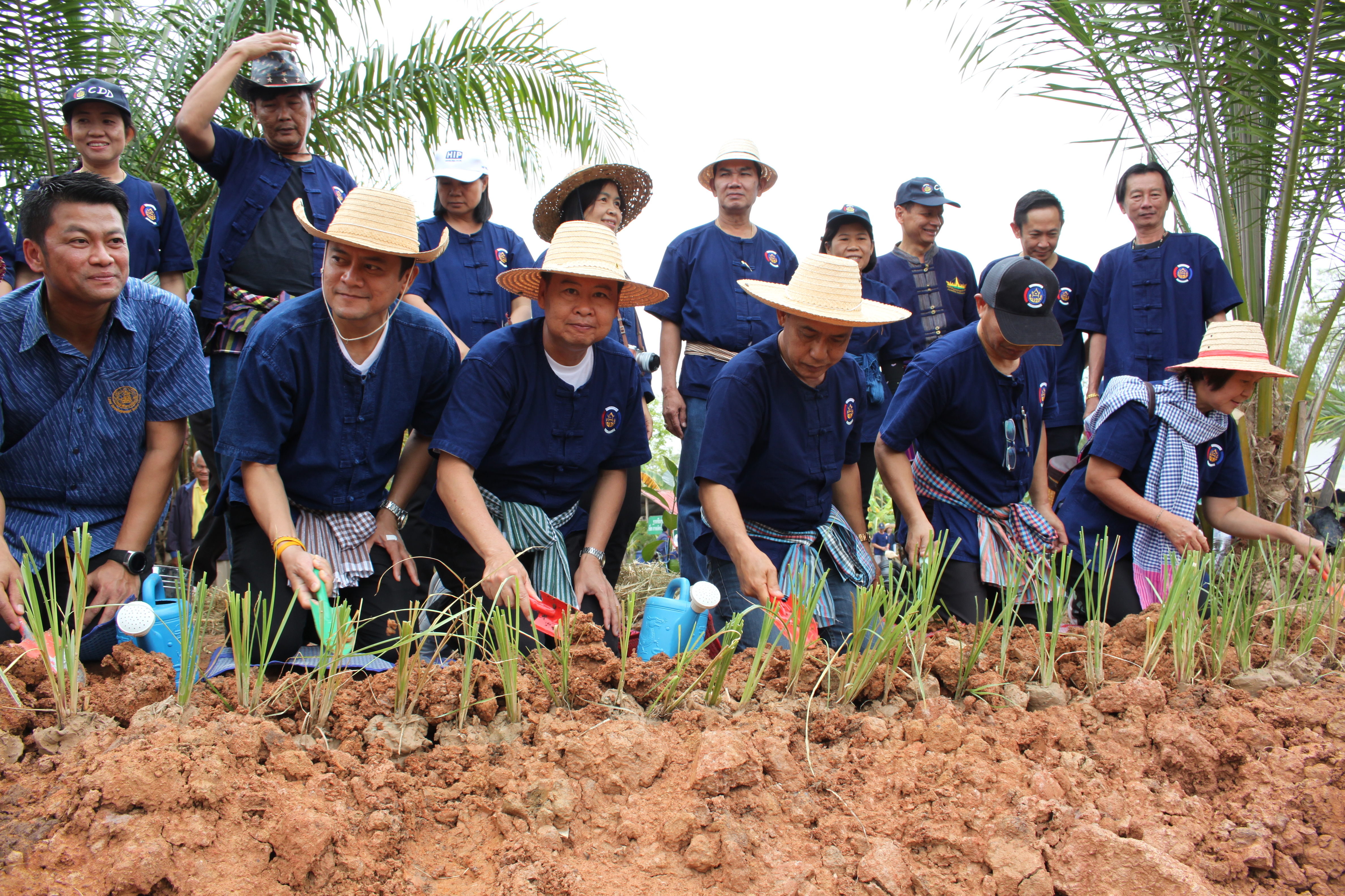 จังหวัดหนองคาย จัดกิจกรรม “พายติ๊บข้าว ไปเอาแฮง แบกบักจกไปขุดดิน” เอามื้อสามัคคี โคก หนอง นา@หนองคาย