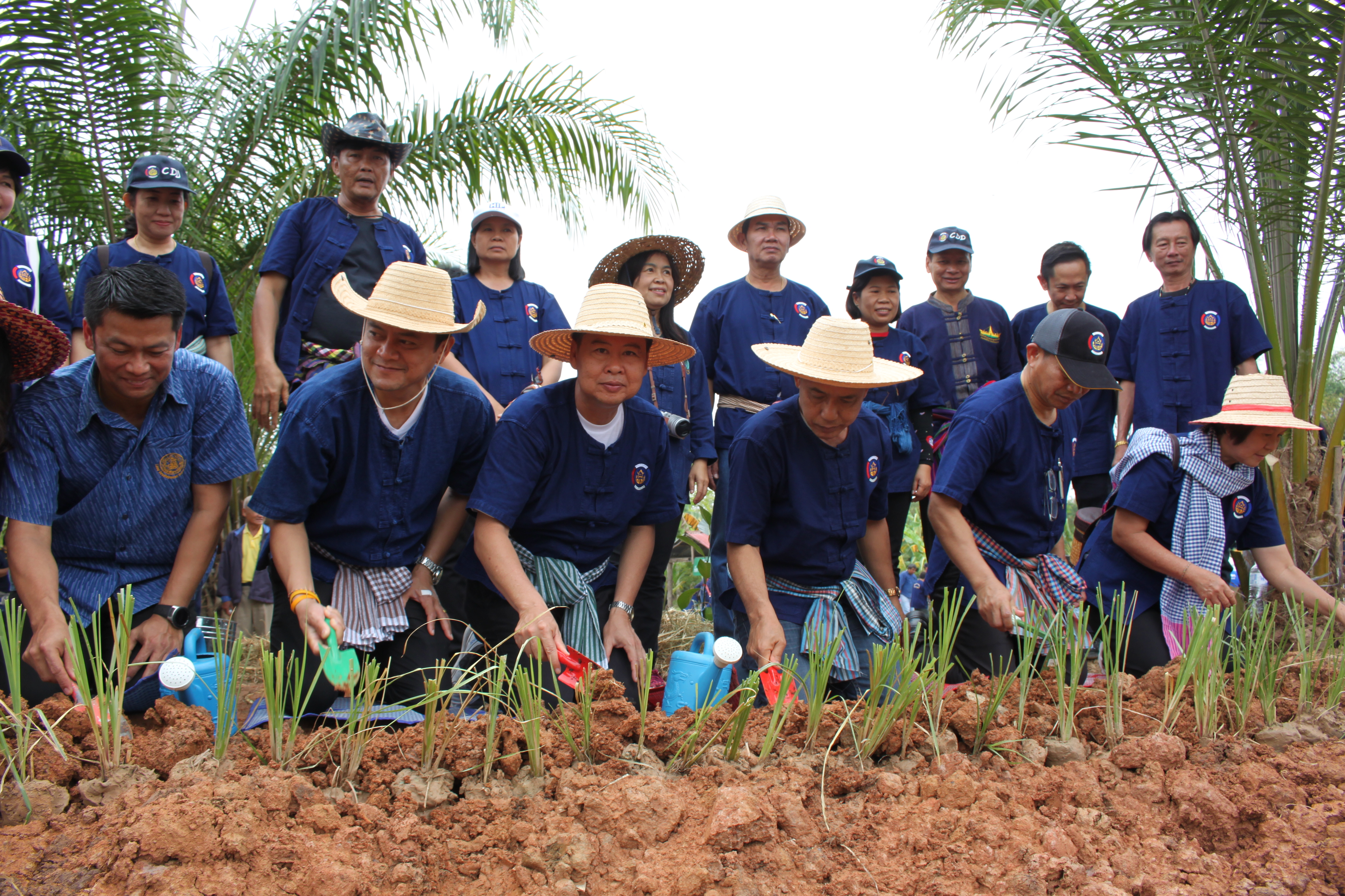 จังหวัดหนองคาย จัดกิจกรรม “พายติ๊บข้าว ไปเอาแฮง แบกบักจกไปขุดดิน” เอามื้อสามัคคี โคก หนอง นา@หนองคาย
