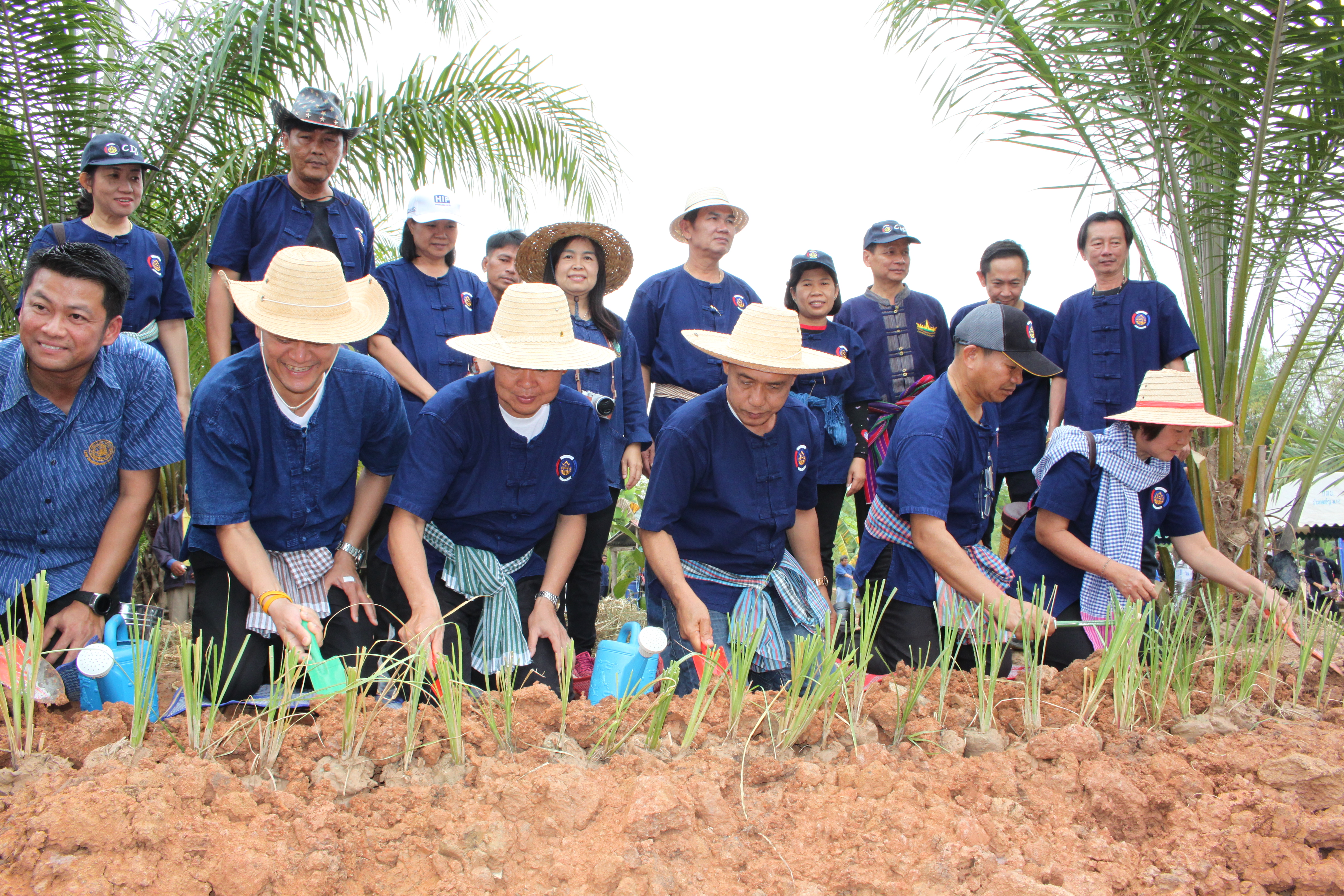 จังหวัดหนองคาย จัดกิจกรรม “พายติ๊บข้าว ไปเอาแฮง แบกบักจกไปขุดดิน” เอามื้อสามัคคี โคก หนอง นา@หนองคาย