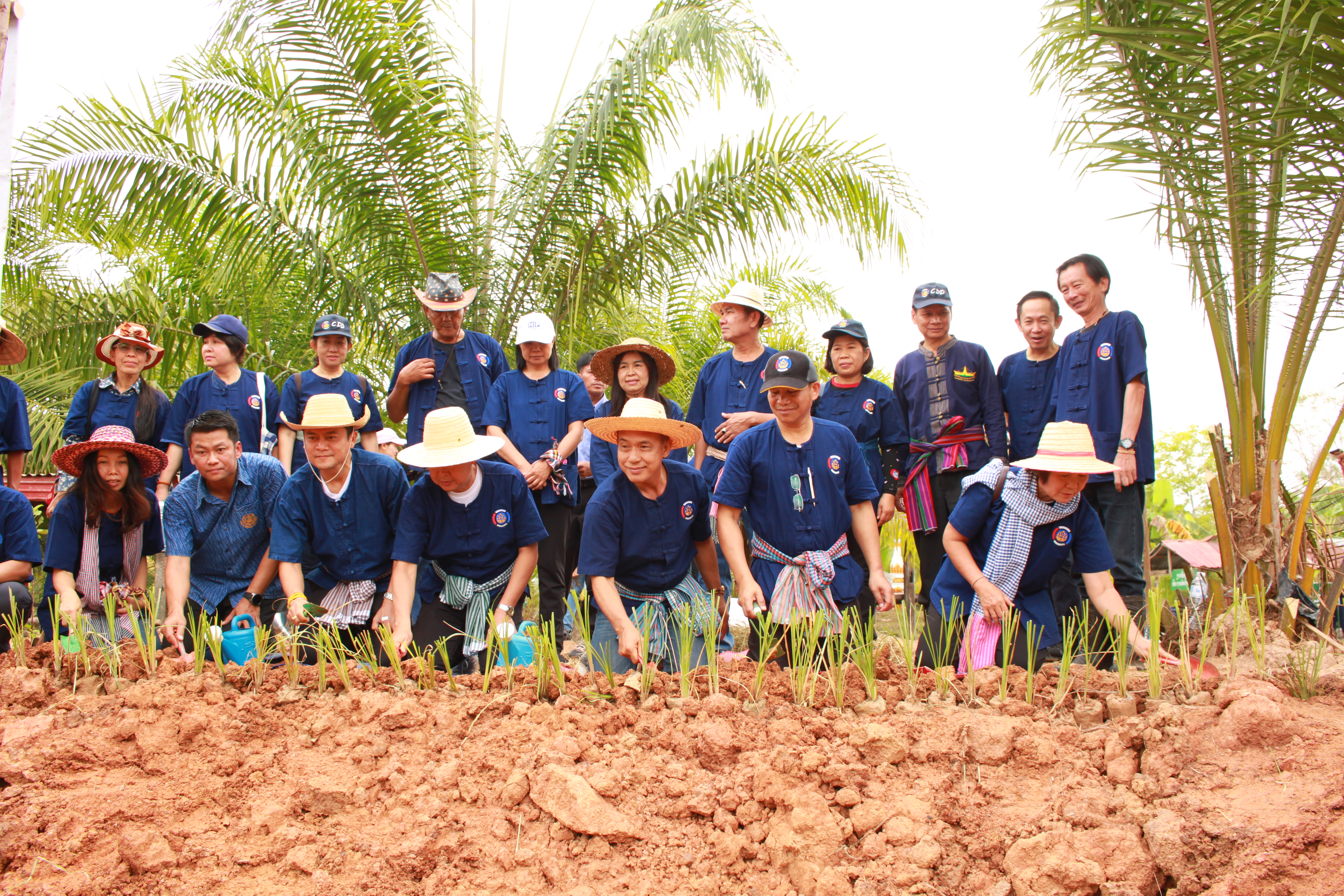 จังหวัดหนองคาย จัดกิจกรรม “พายติ๊บข้าว ไปเอาแฮง แบกบักจกไปขุดดิน” เอามื้อสามัคคี โคก หนอง นา@หนองคาย