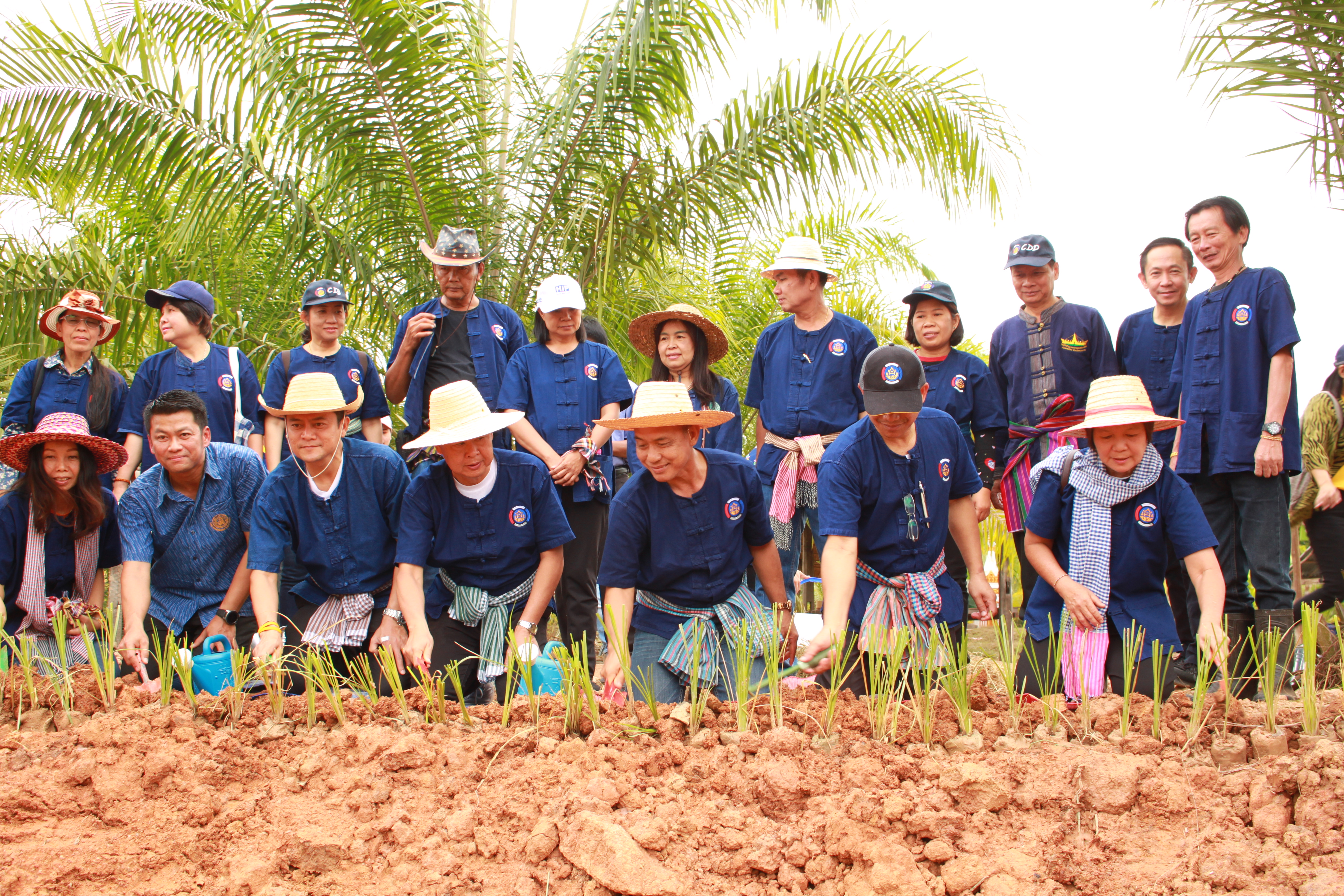 จังหวัดหนองคาย จัดกิจกรรม “พายติ๊บข้าว ไปเอาแฮง แบกบักจกไปขุดดิน” เอามื้อสามัคคี โคก หนอง นา@หนองคาย