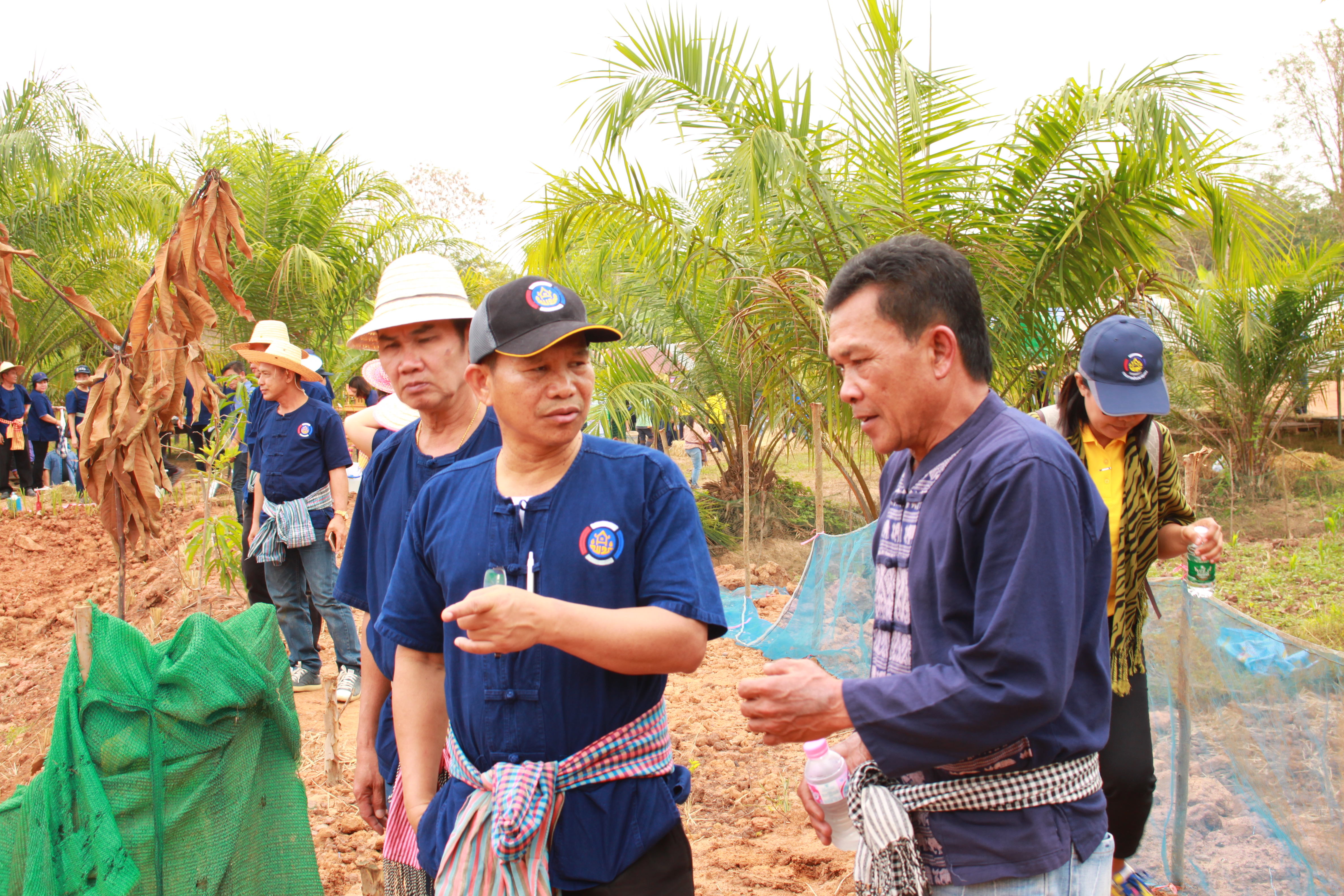 จังหวัดหนองคาย จัดกิจกรรม “พายติ๊บข้าว ไปเอาแฮง แบกบักจกไปขุดดิน” เอามื้อสามัคคี โคก หนอง นา@หนองคาย