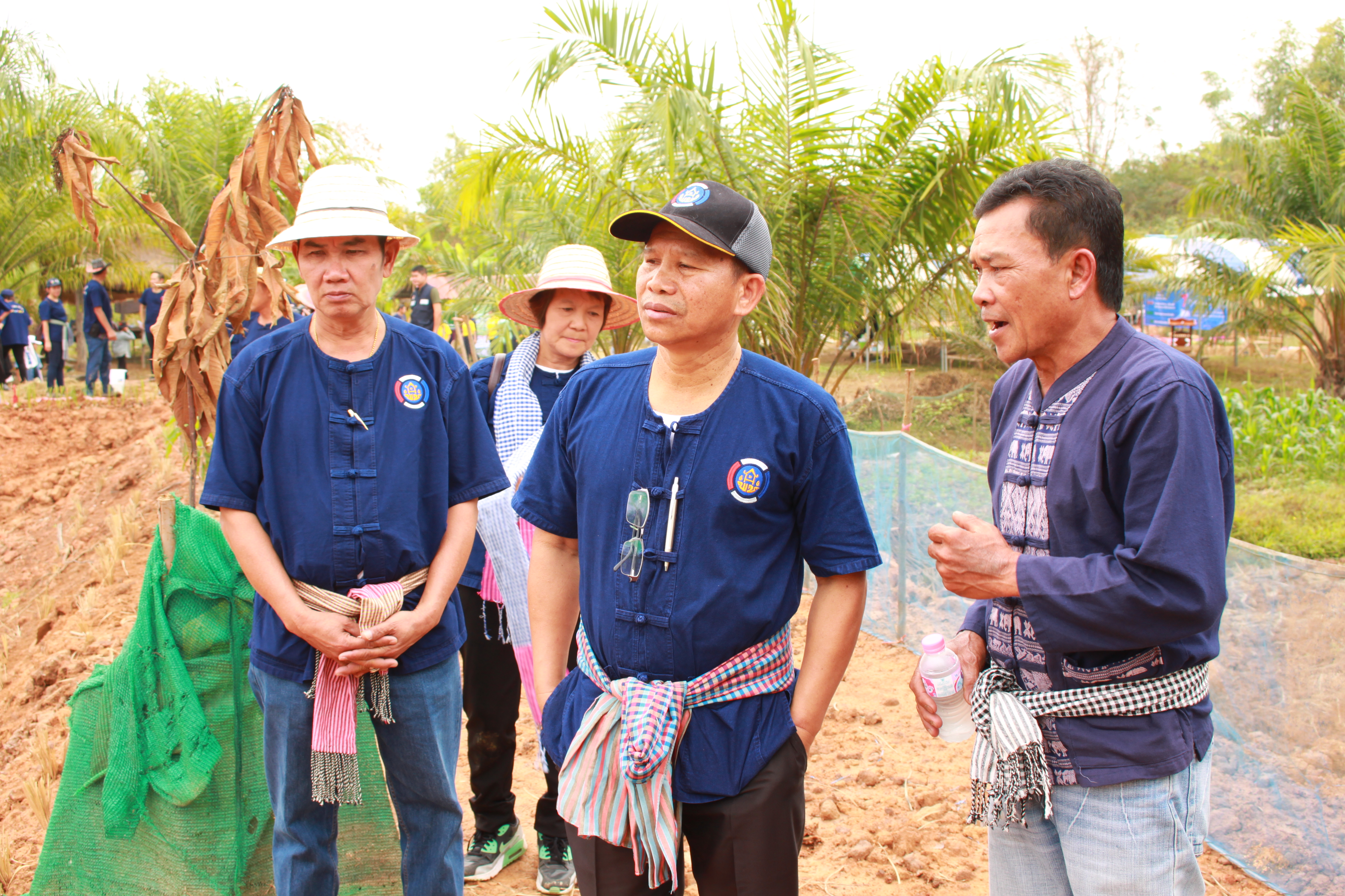 จังหวัดหนองคาย จัดกิจกรรม “พายติ๊บข้าว ไปเอาแฮง แบกบักจกไปขุดดิน” เอามื้อสามัคคี โคก หนอง นา@หนองคาย