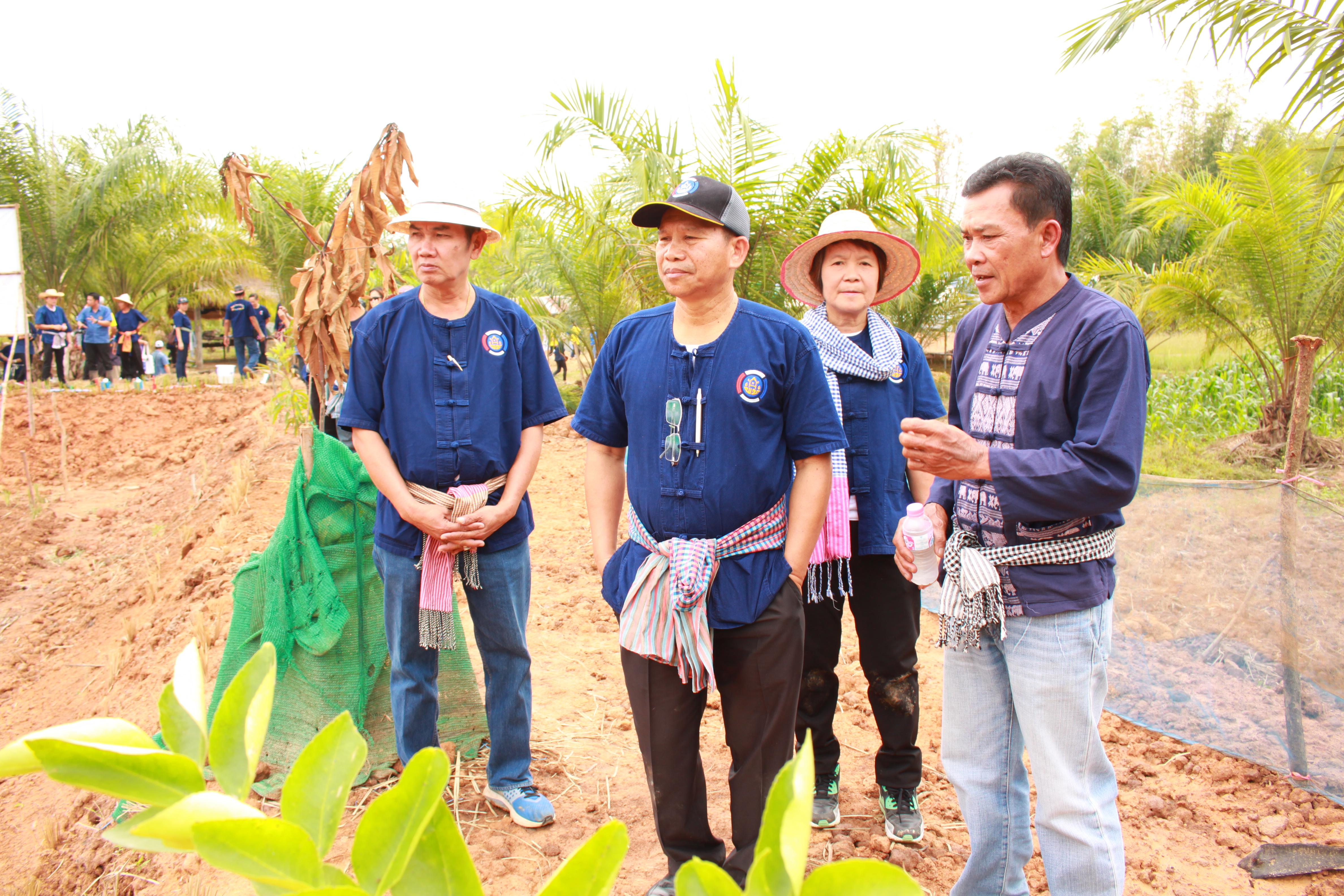 จังหวัดหนองคาย จัดกิจกรรม “พายติ๊บข้าว ไปเอาแฮง แบกบักจกไปขุดดิน” เอามื้อสามัคคี โคก หนอง นา@หนองคาย