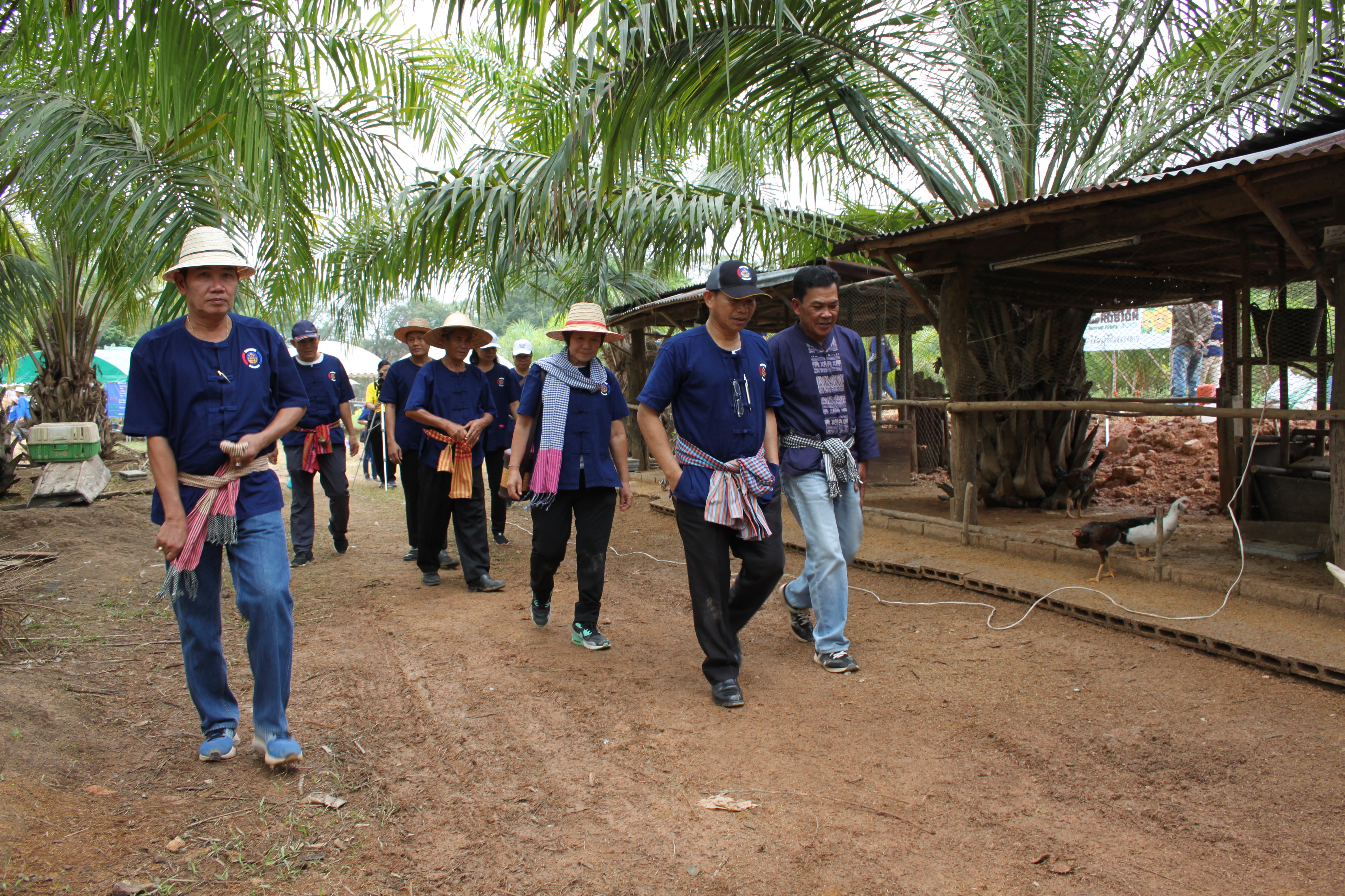 จังหวัดหนองคาย จัดกิจกรรม “พายติ๊บข้าว ไปเอาแฮง แบกบักจกไปขุดดิน” เอามื้อสามัคคี โคก หนอง นา@หนองคาย