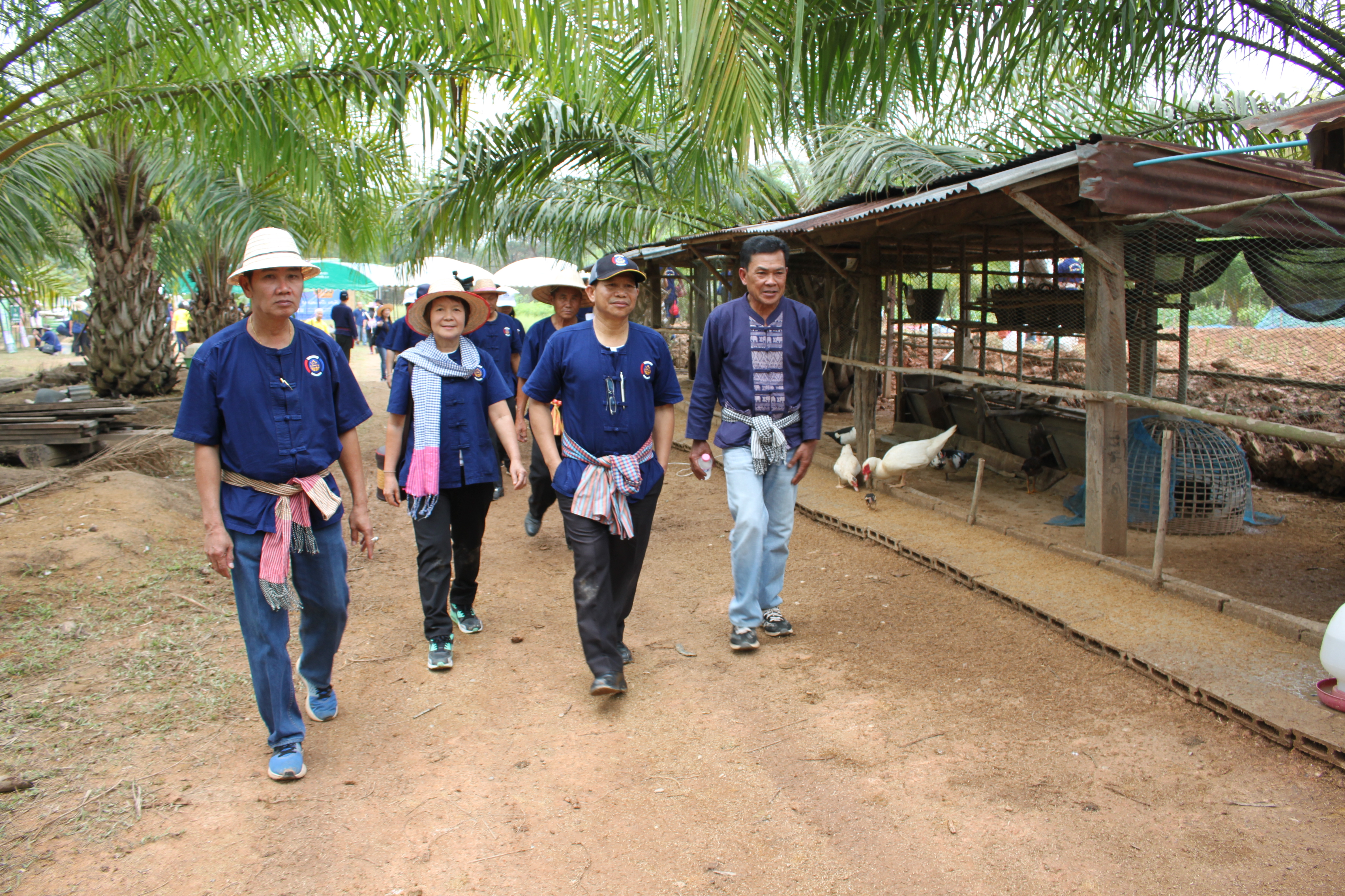 จังหวัดหนองคาย จัดกิจกรรม “พายติ๊บข้าว ไปเอาแฮง แบกบักจกไปขุดดิน” เอามื้อสามัคคี โคก หนอง นา@หนองคาย