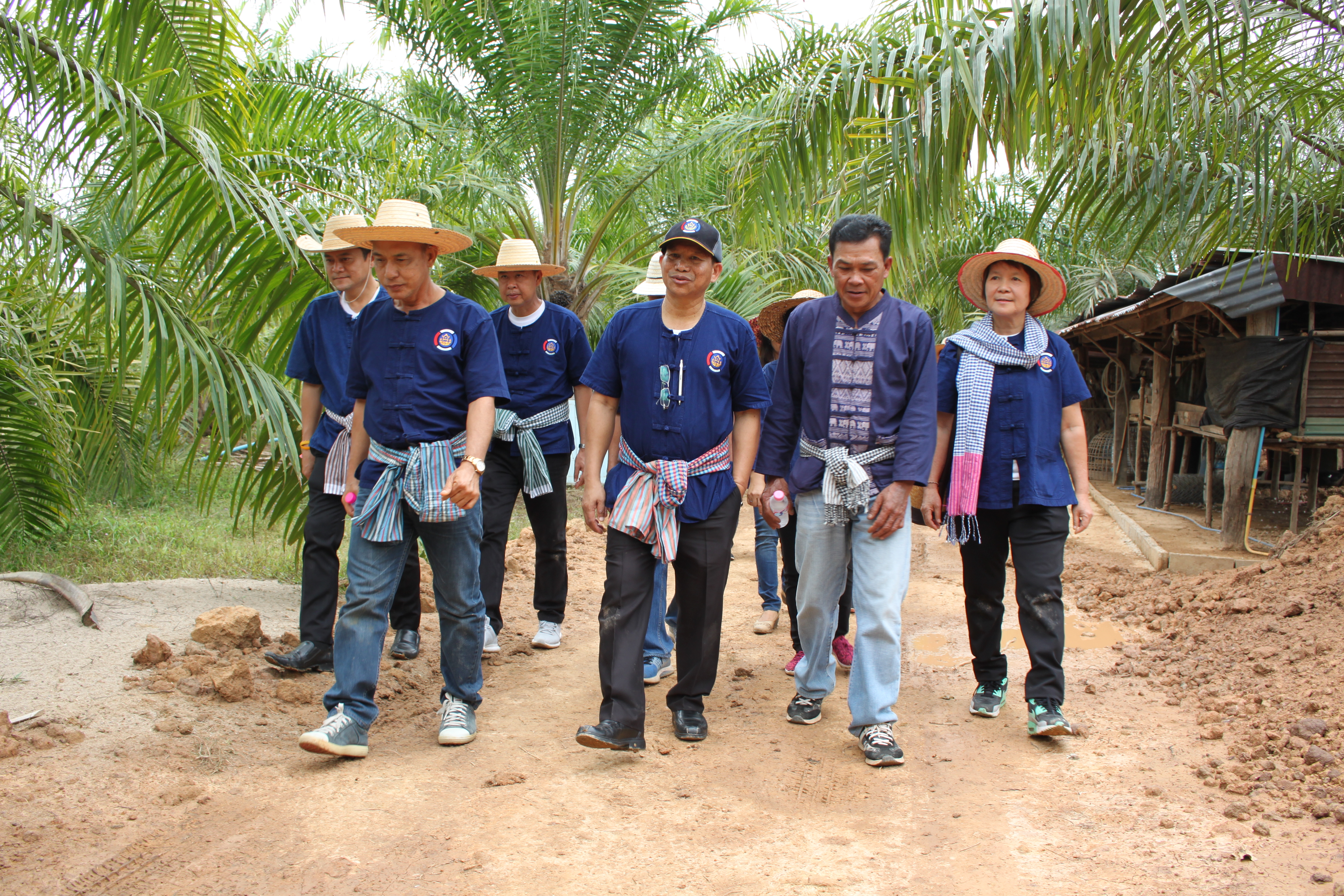 จังหวัดหนองคาย จัดกิจกรรม “พายติ๊บข้าว ไปเอาแฮง แบกบักจกไปขุดดิน” เอามื้อสามัคคี โคก หนอง นา@หนองคาย