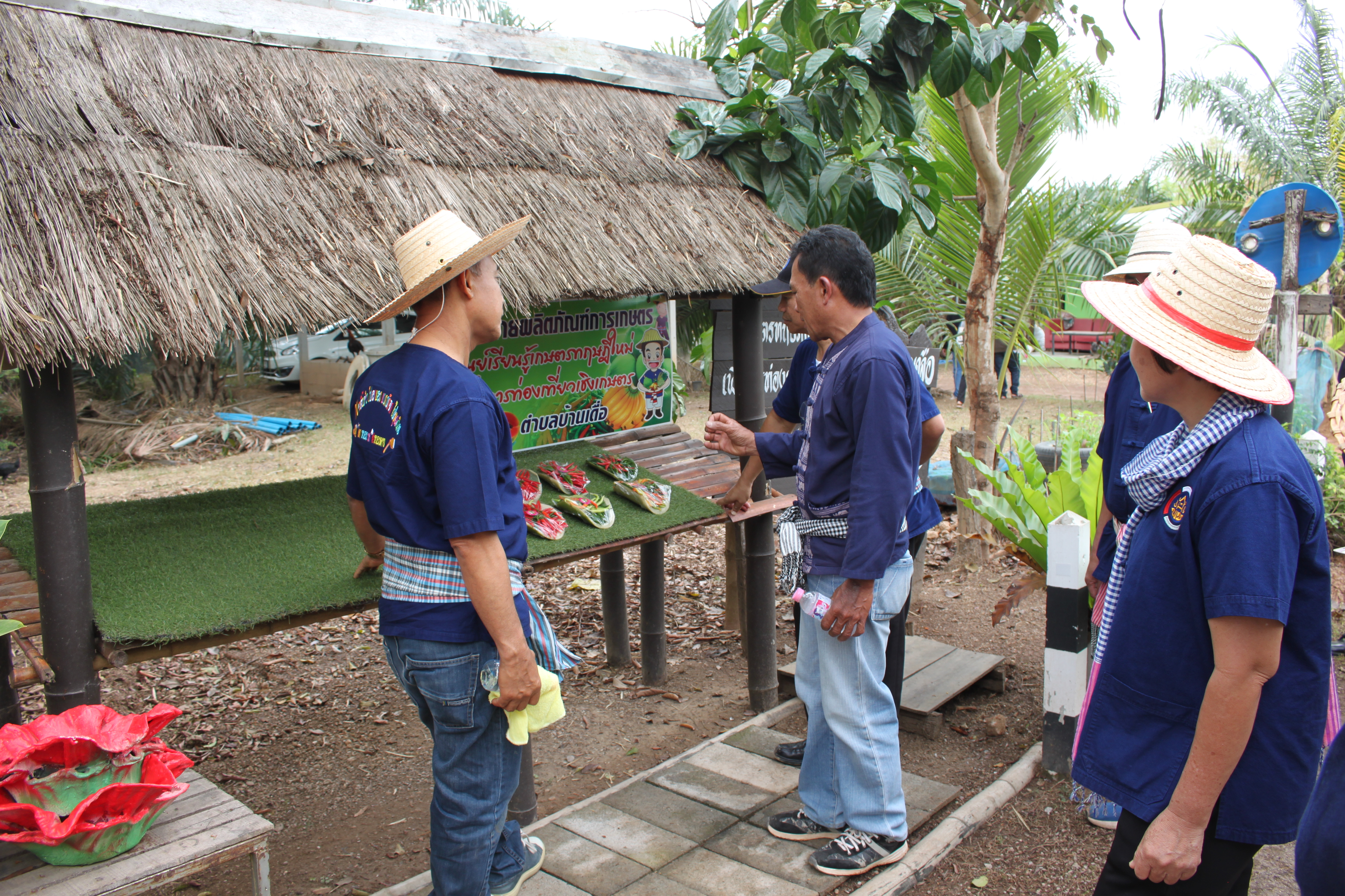 จังหวัดหนองคาย จัดกิจกรรม “พายติ๊บข้าว ไปเอาแฮง แบกบักจกไปขุดดิน” เอามื้อสามัคคี โคก หนอง นา@หนองคาย