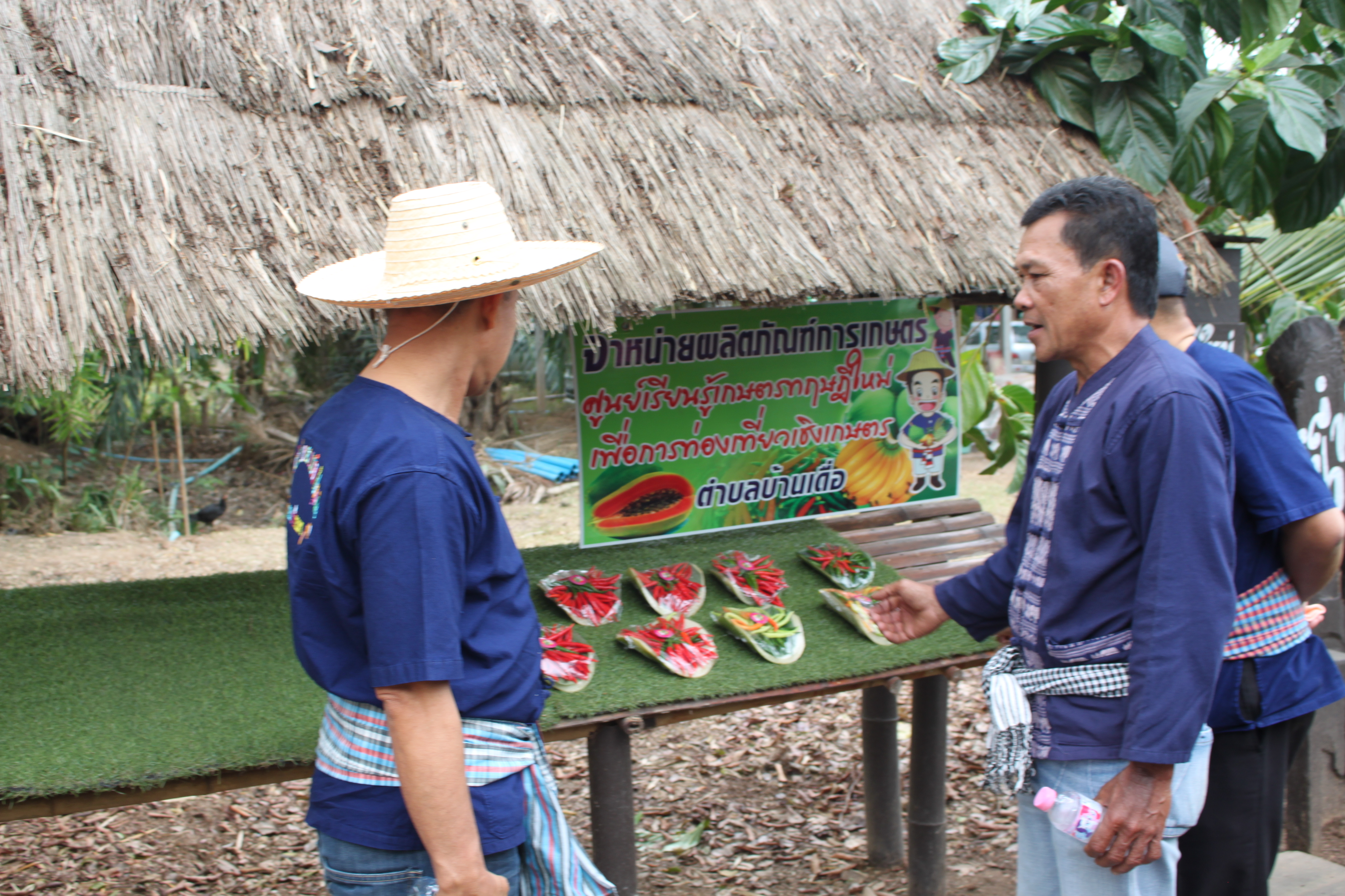 จังหวัดหนองคาย จัดกิจกรรม “พายติ๊บข้าว ไปเอาแฮง แบกบักจกไปขุดดิน” เอามื้อสามัคคี โคก หนอง นา@หนองคาย