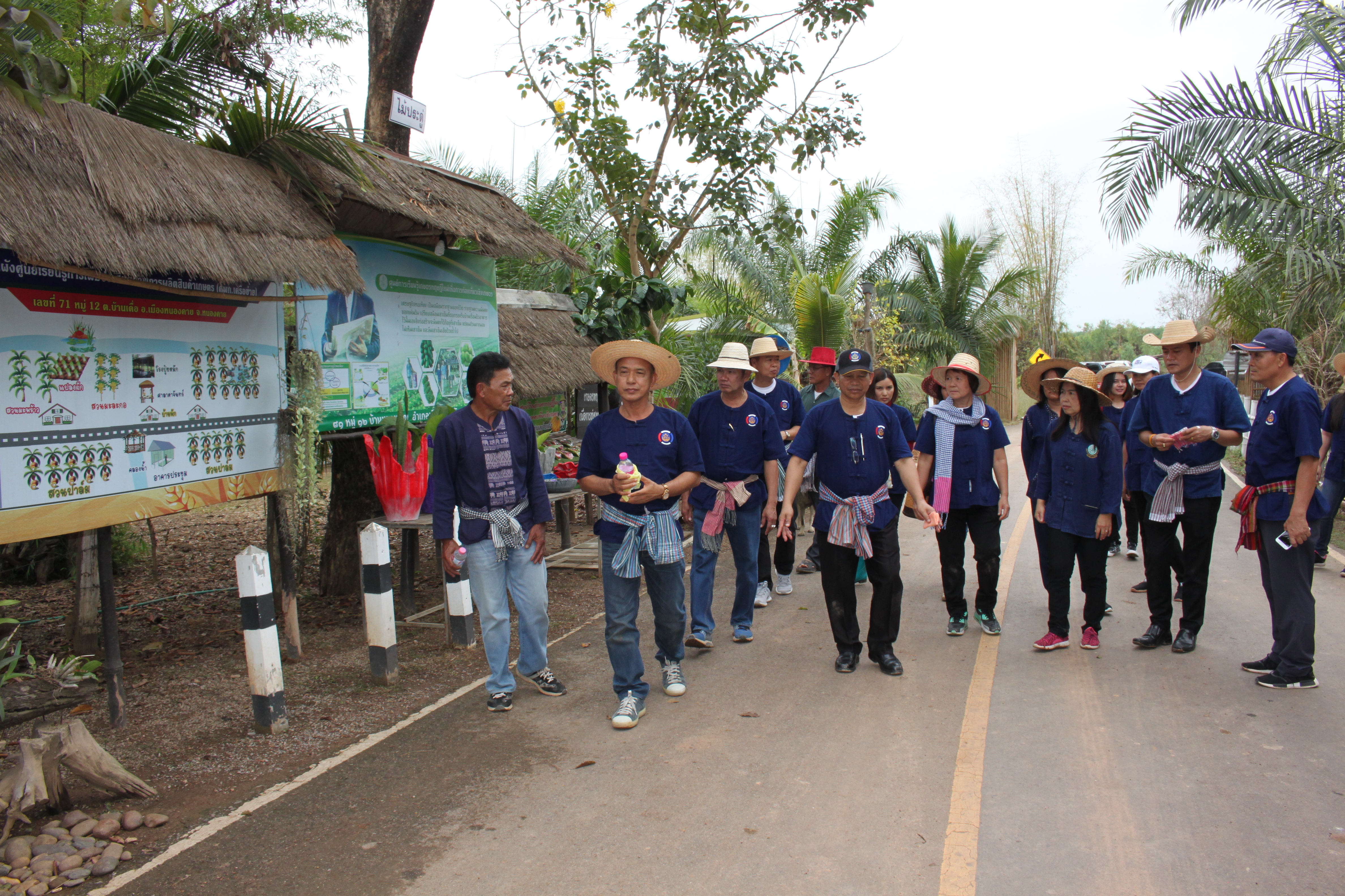 จังหวัดหนองคาย จัดกิจกรรม “พายติ๊บข้าว ไปเอาแฮง แบกบักจกไปขุดดิน” เอามื้อสามัคคี โคก หนอง นา@หนองคาย