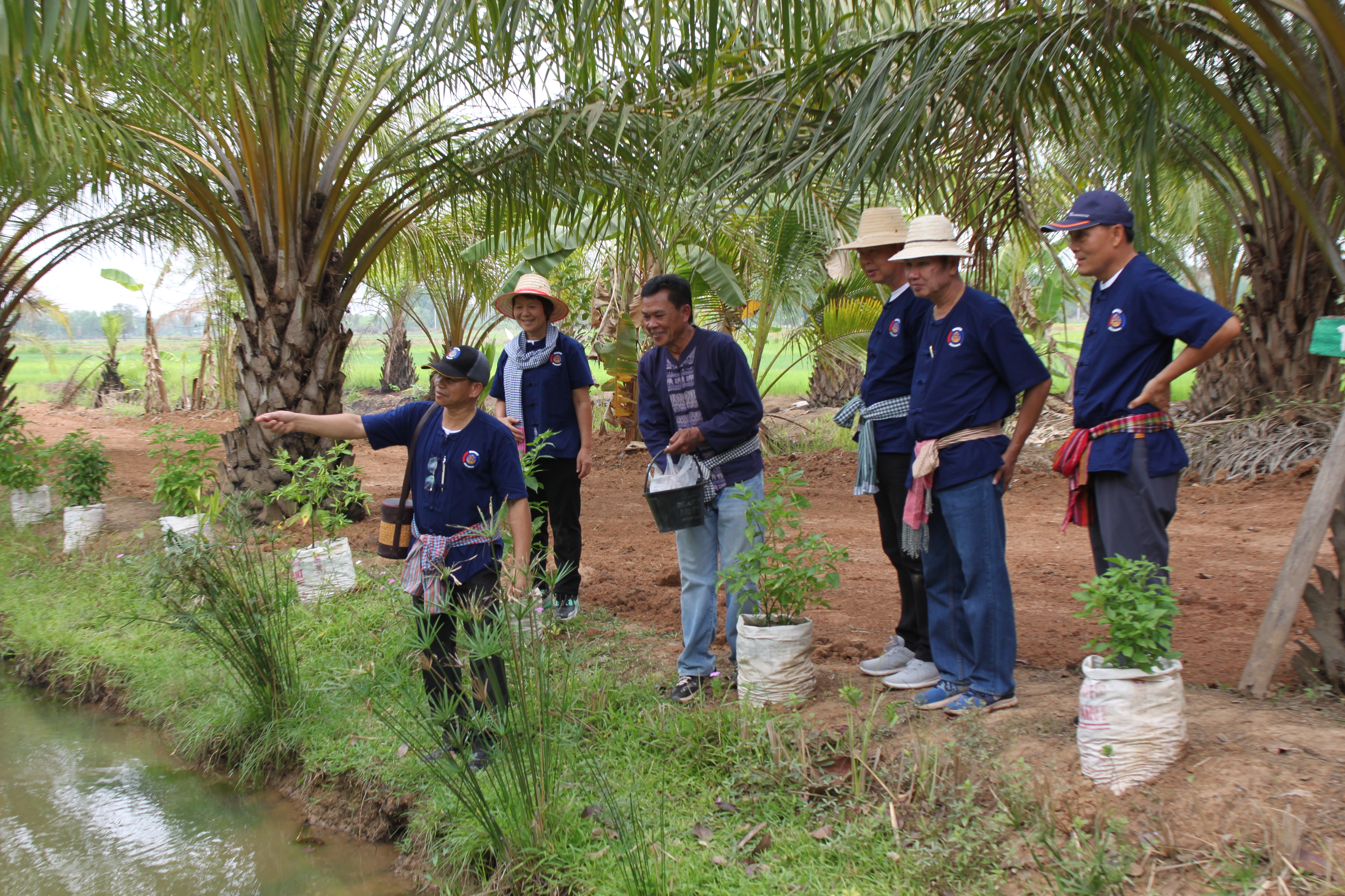 จังหวัดหนองคาย จัดกิจกรรม “พายติ๊บข้าว ไปเอาแฮง แบกบักจกไปขุดดิน” เอามื้อสามัคคี โคก หนอง นา@หนองคาย