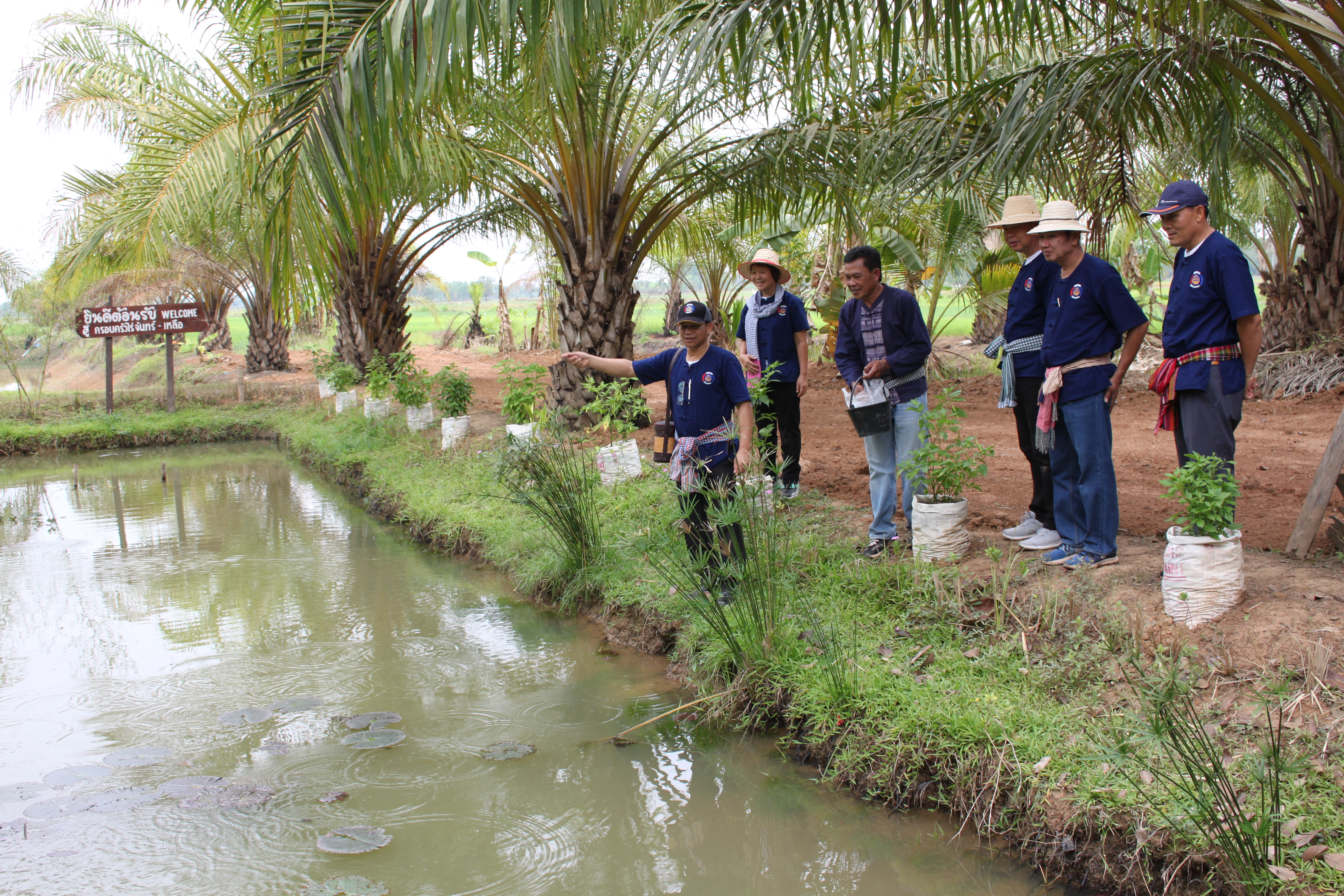 จังหวัดหนองคาย จัดกิจกรรม “พายติ๊บข้าว ไปเอาแฮง แบกบักจกไปขุดดิน” เอามื้อสามัคคี โคก หนอง นา@หนองคาย