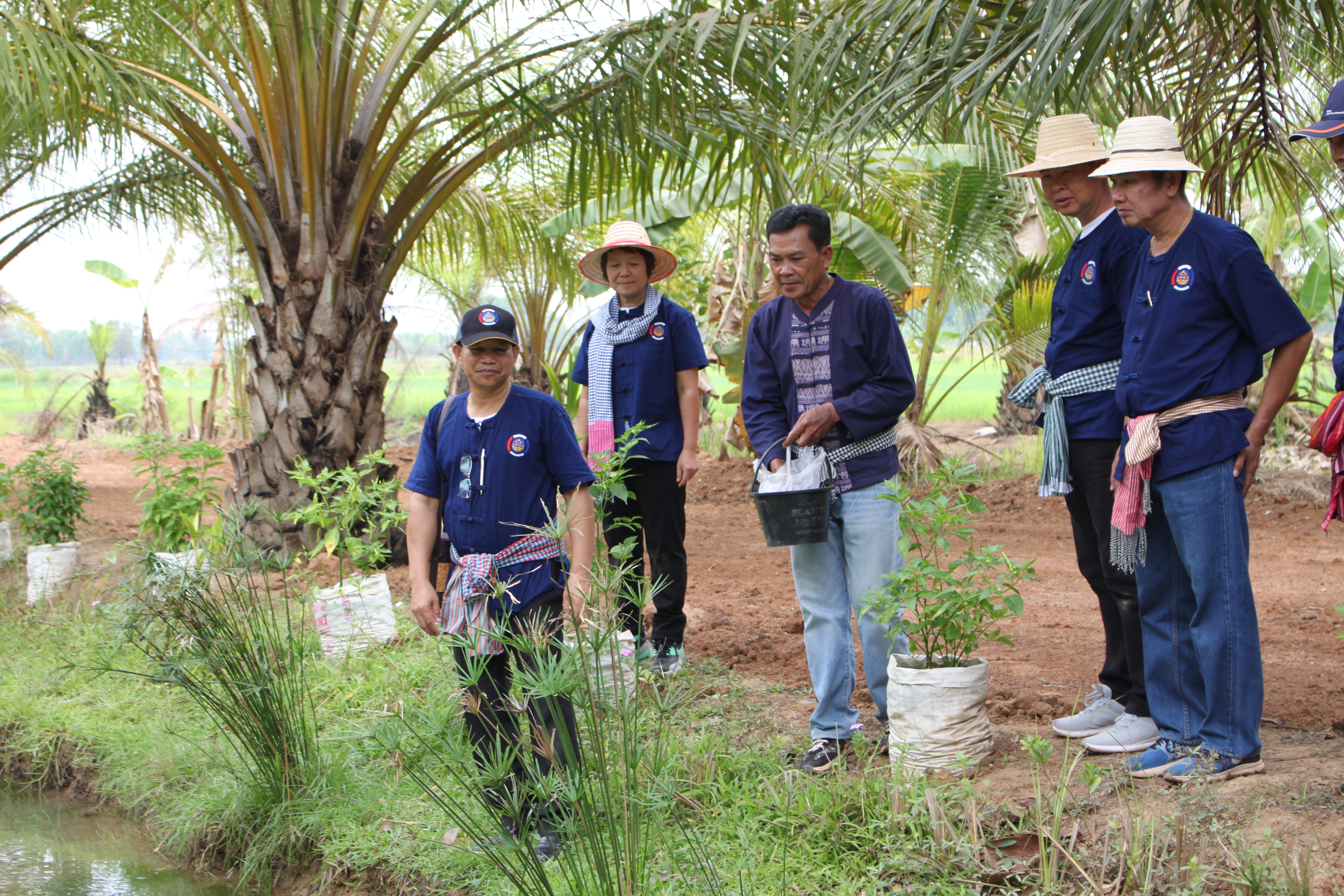 จังหวัดหนองคาย จัดกิจกรรม “พายติ๊บข้าว ไปเอาแฮง แบกบักจกไปขุดดิน” เอามื้อสามัคคี โคก หนอง นา@หนองคาย