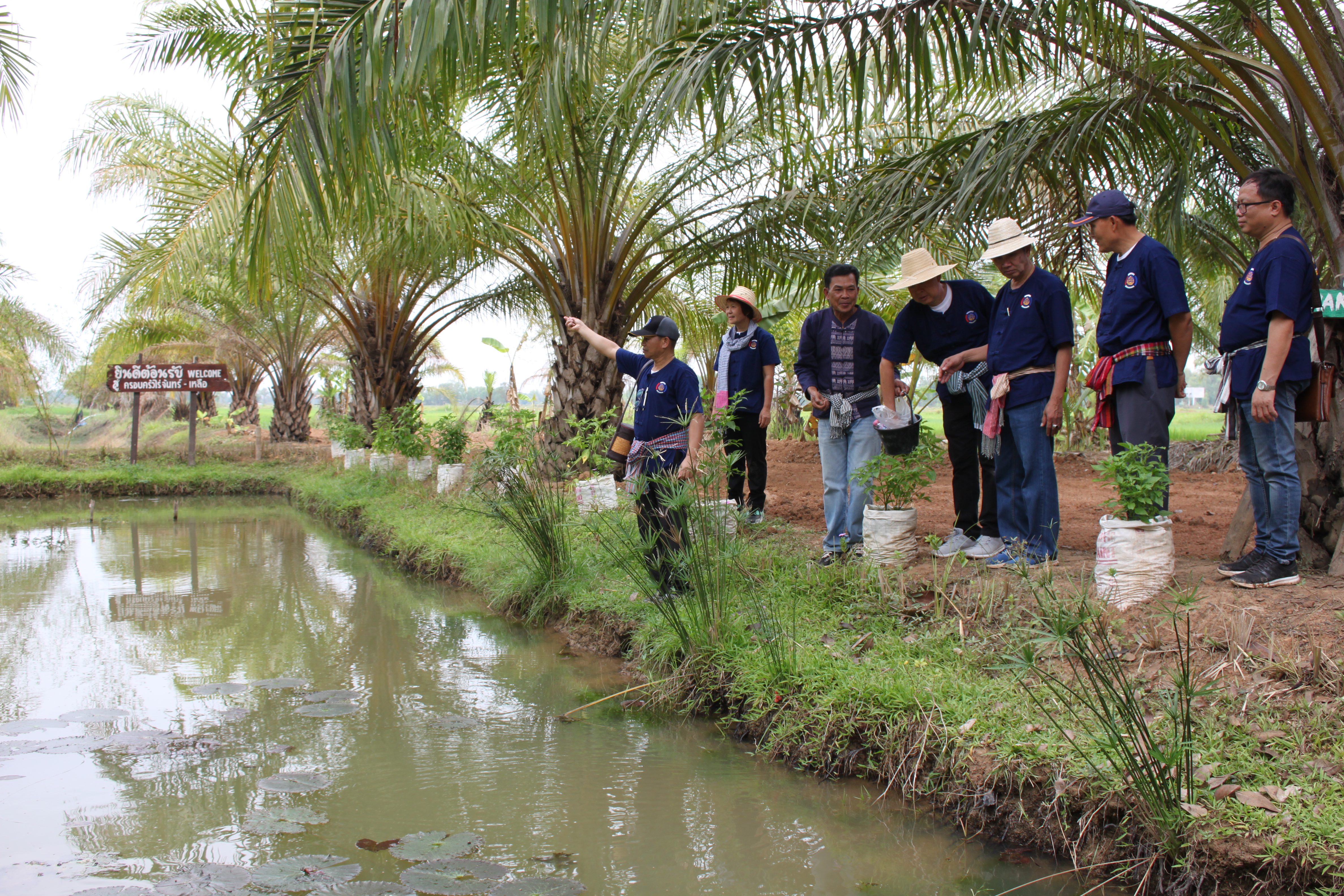 จังหวัดหนองคาย จัดกิจกรรม “พายติ๊บข้าว ไปเอาแฮง แบกบักจกไปขุดดิน” เอามื้อสามัคคี โคก หนอง นา@หนองคาย