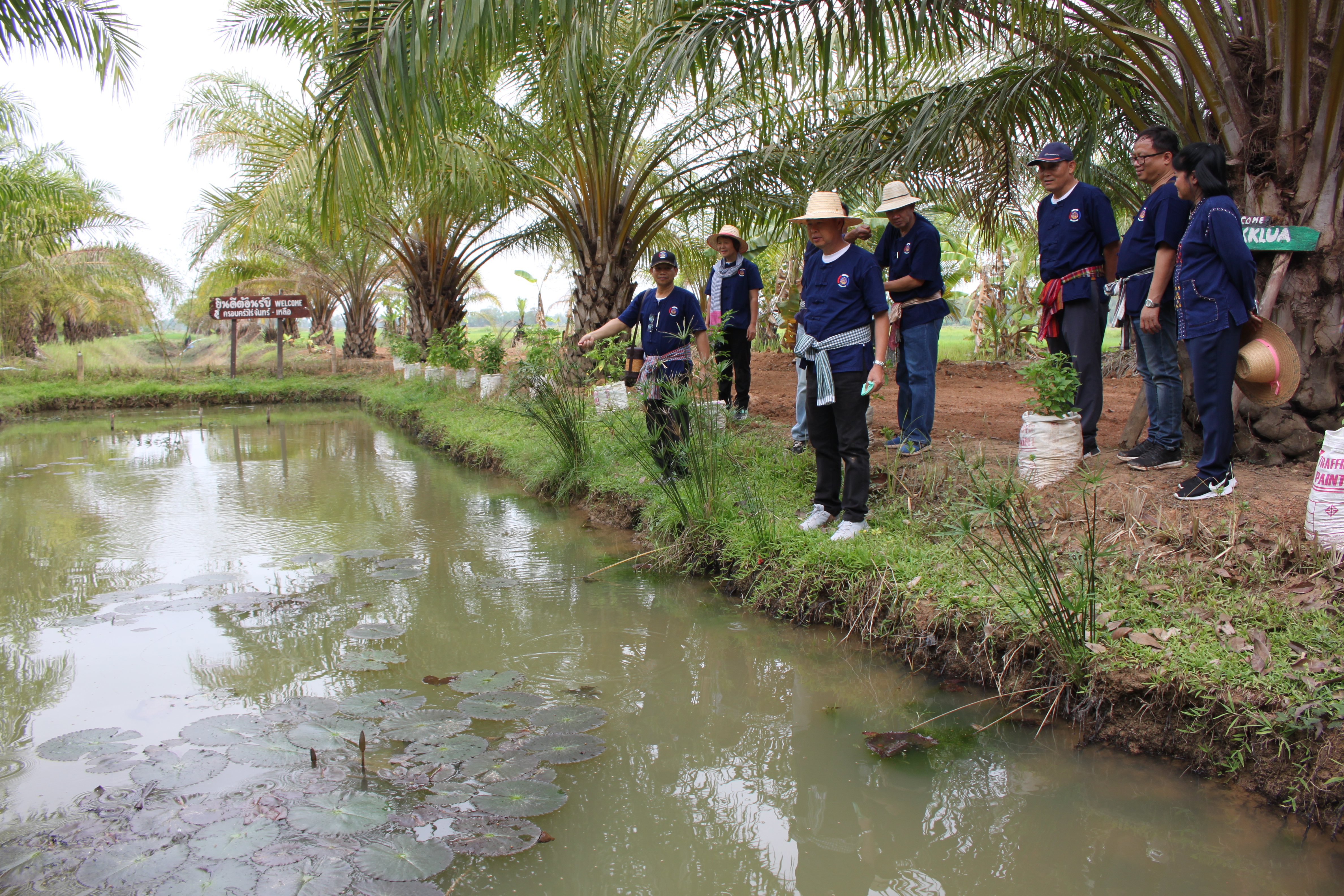 จังหวัดหนองคาย จัดกิจกรรม “พายติ๊บข้าว ไปเอาแฮง แบกบักจกไปขุดดิน” เอามื้อสามัคคี โคก หนอง นา@หนองคาย