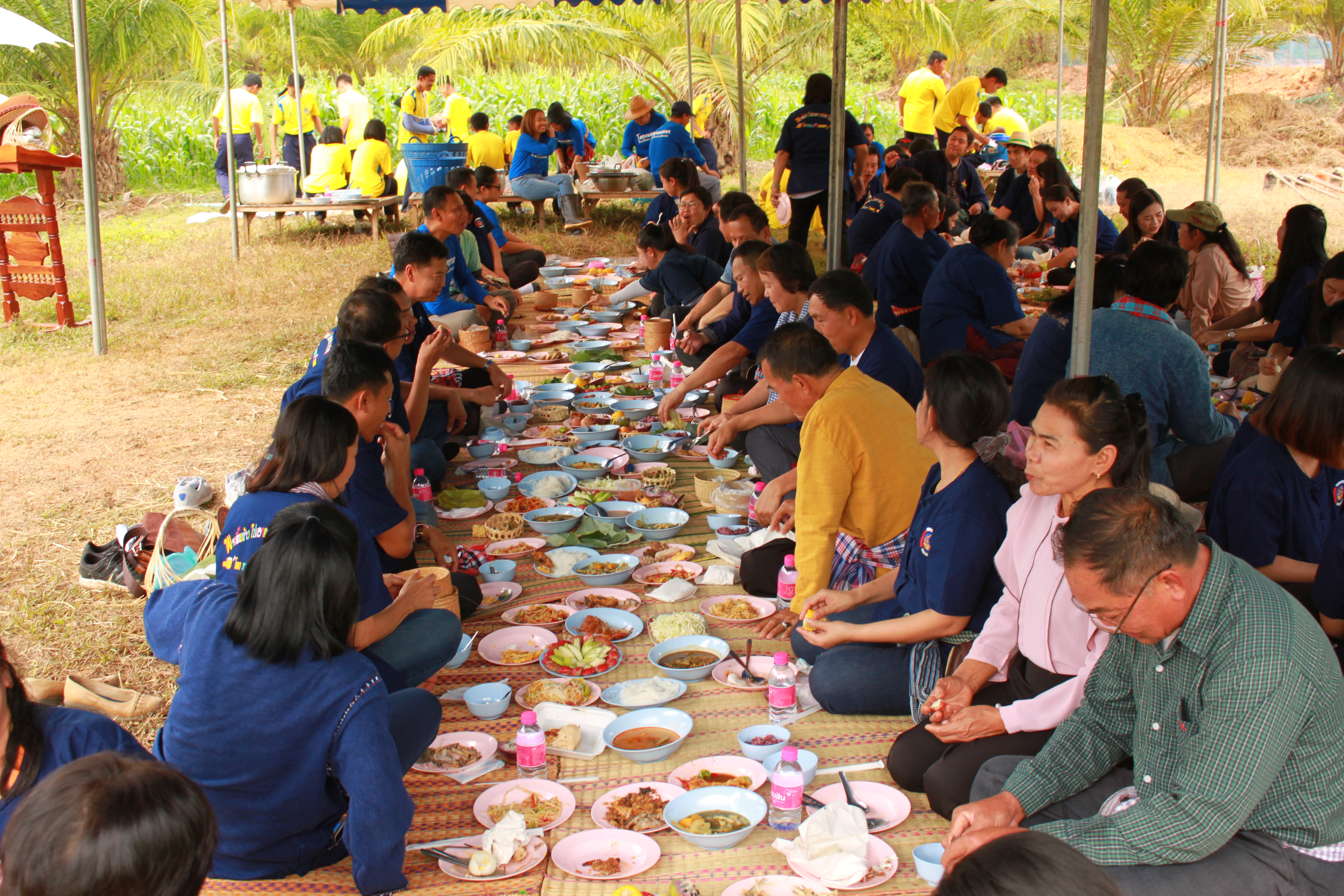 จังหวัดหนองคาย จัดกิจกรรม “พายติ๊บข้าว ไปเอาแฮง แบกบักจกไปขุดดิน” เอามื้อสามัคคี โคก หนอง นา@หนองคาย