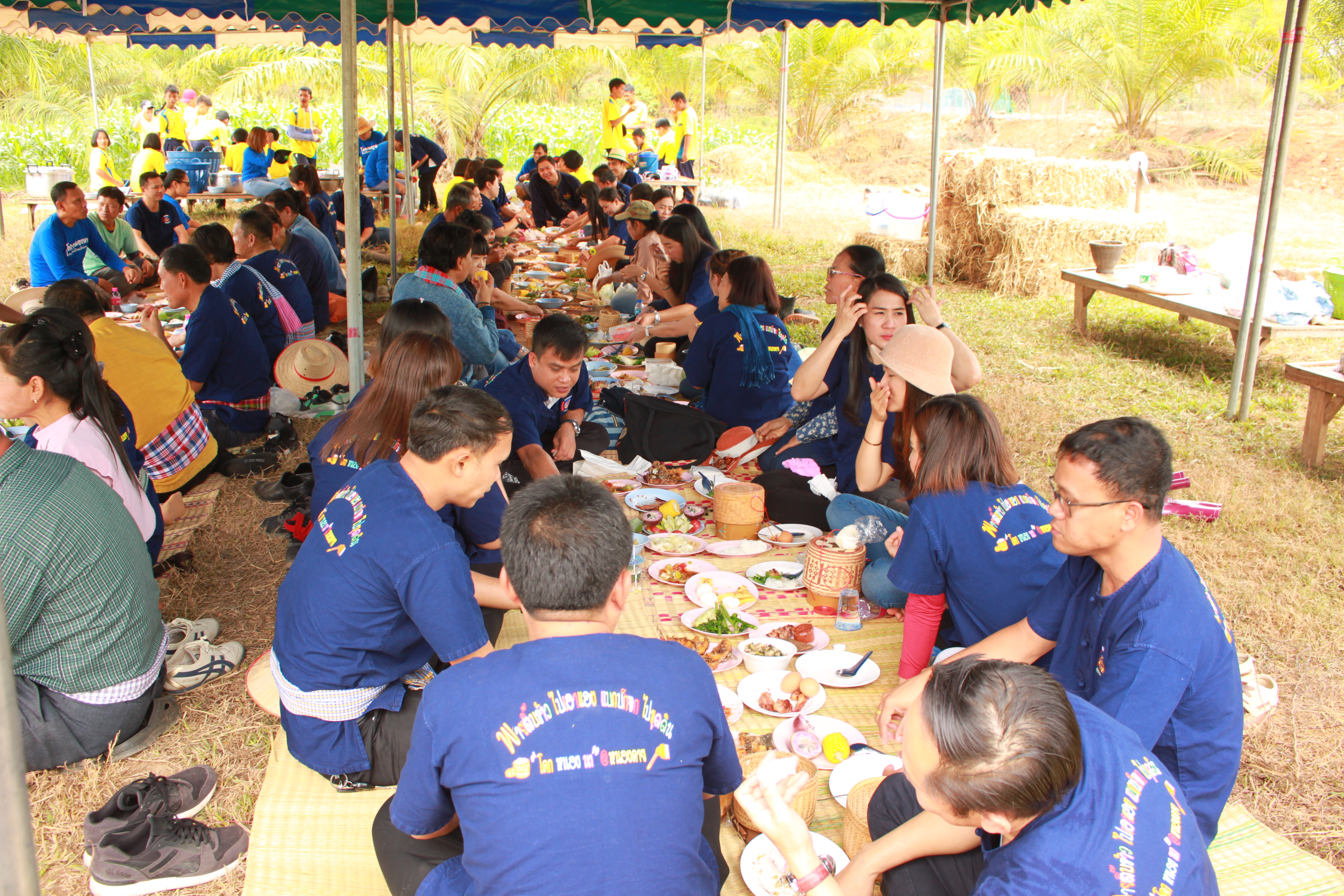 จังหวัดหนองคาย จัดกิจกรรม “พายติ๊บข้าว ไปเอาแฮง แบกบักจกไปขุดดิน” เอามื้อสามัคคี โคก หนอง นา@หนองคาย