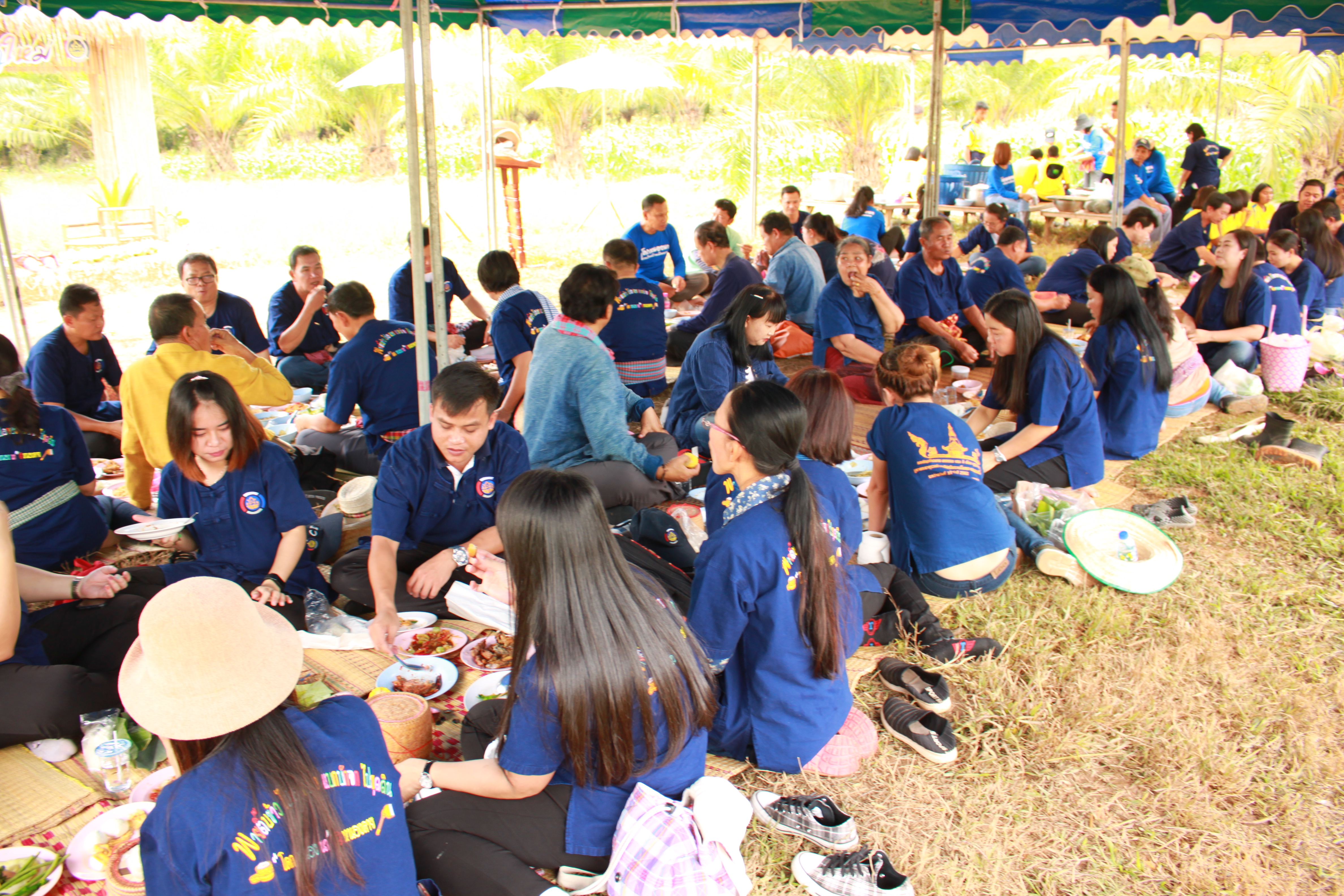 จังหวัดหนองคาย จัดกิจกรรม “พายติ๊บข้าว ไปเอาแฮง แบกบักจกไปขุดดิน” เอามื้อสามัคคี โคก หนอง นา@หนองคาย