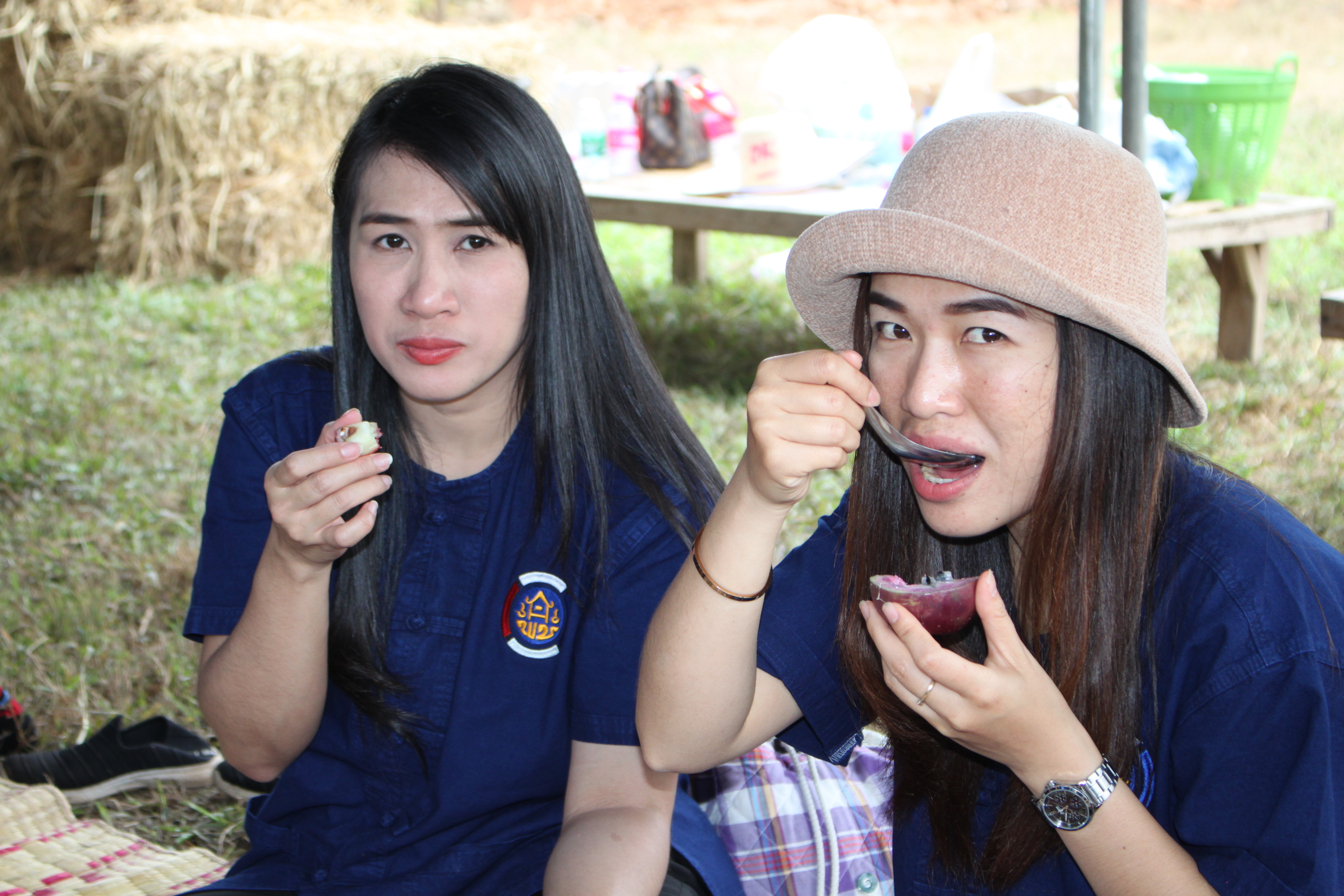 จังหวัดหนองคาย จัดกิจกรรม “พายติ๊บข้าว ไปเอาแฮง แบกบักจกไปขุดดิน” เอามื้อสามัคคี โคก หนอง นา@หนองคาย