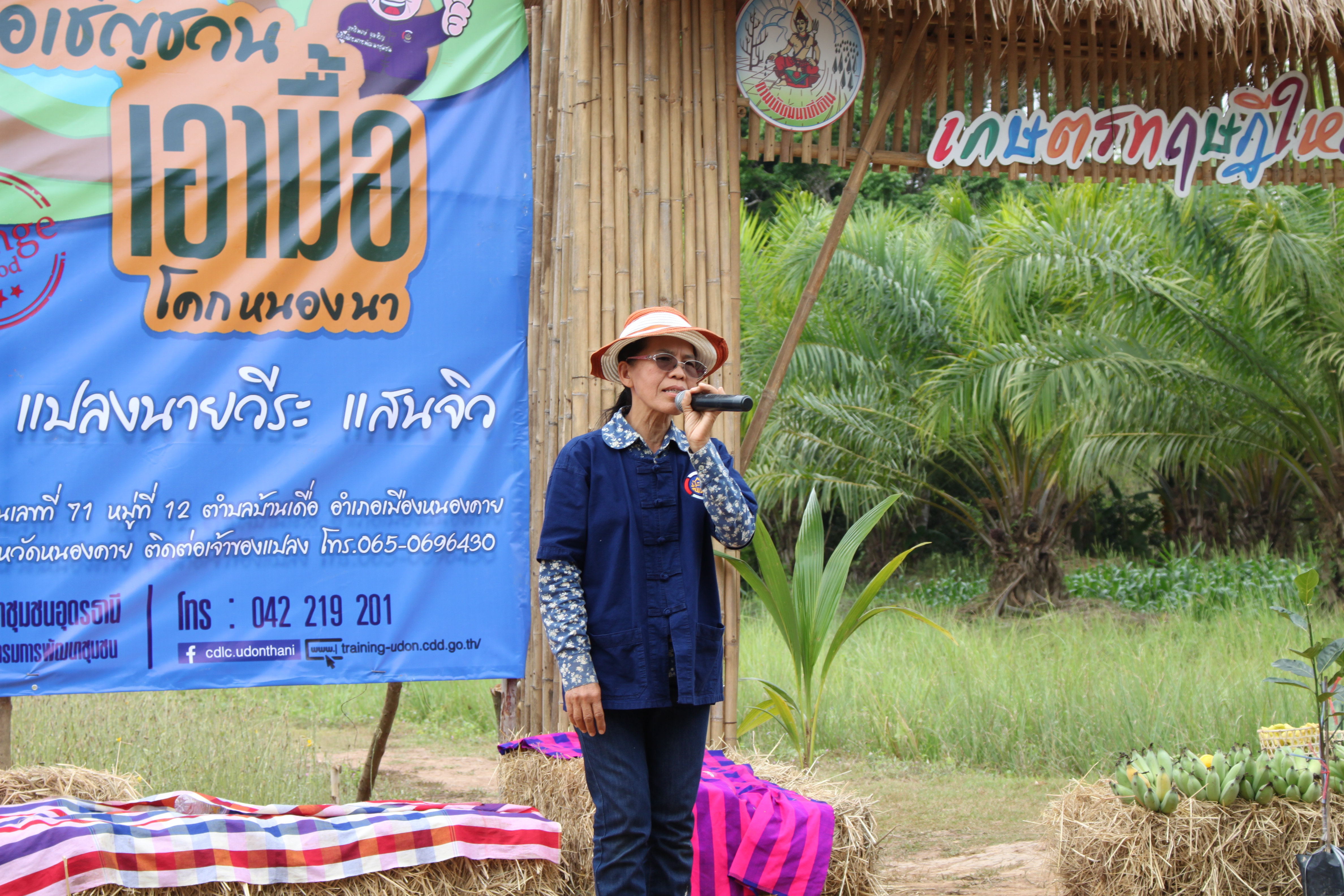 จังหวัดหนองคาย จัดกิจกรรม “พายติ๊บข้าว ไปเอาแฮง แบกบักจกไปขุดดิน” เอามื้อสามัคคี โคก หนอง นา@หนองคาย