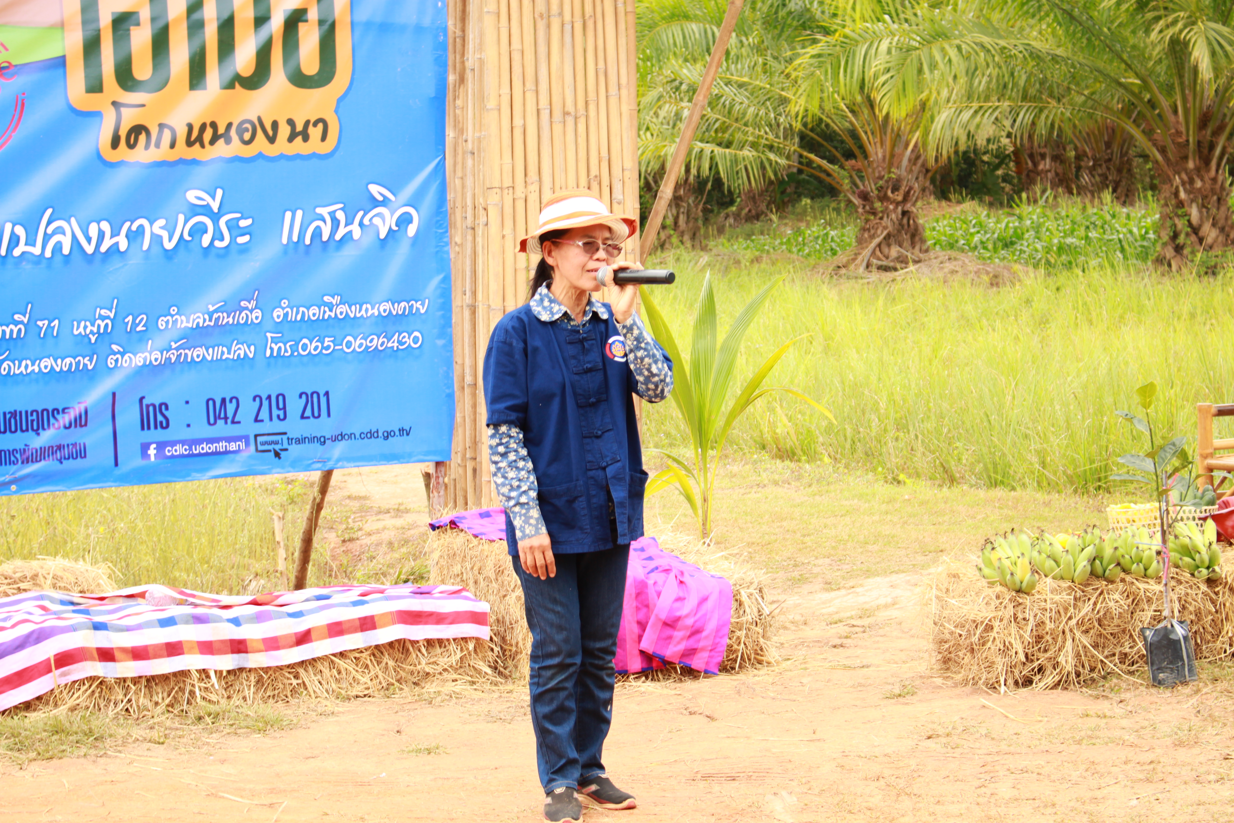 จังหวัดหนองคาย จัดกิจกรรม “พายติ๊บข้าว ไปเอาแฮง แบกบักจกไปขุดดิน” เอามื้อสามัคคี โคก หนอง นา@หนองคาย