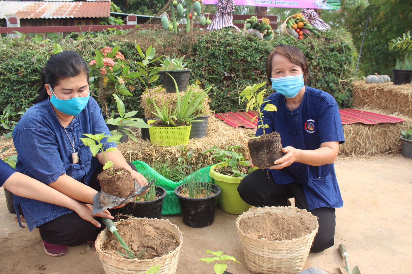 “พช.หนองคาย จัดกิจกรรม KICK OFF สตรีแบ่งปันรัก ปลูกพืชผักปลอดภัย”