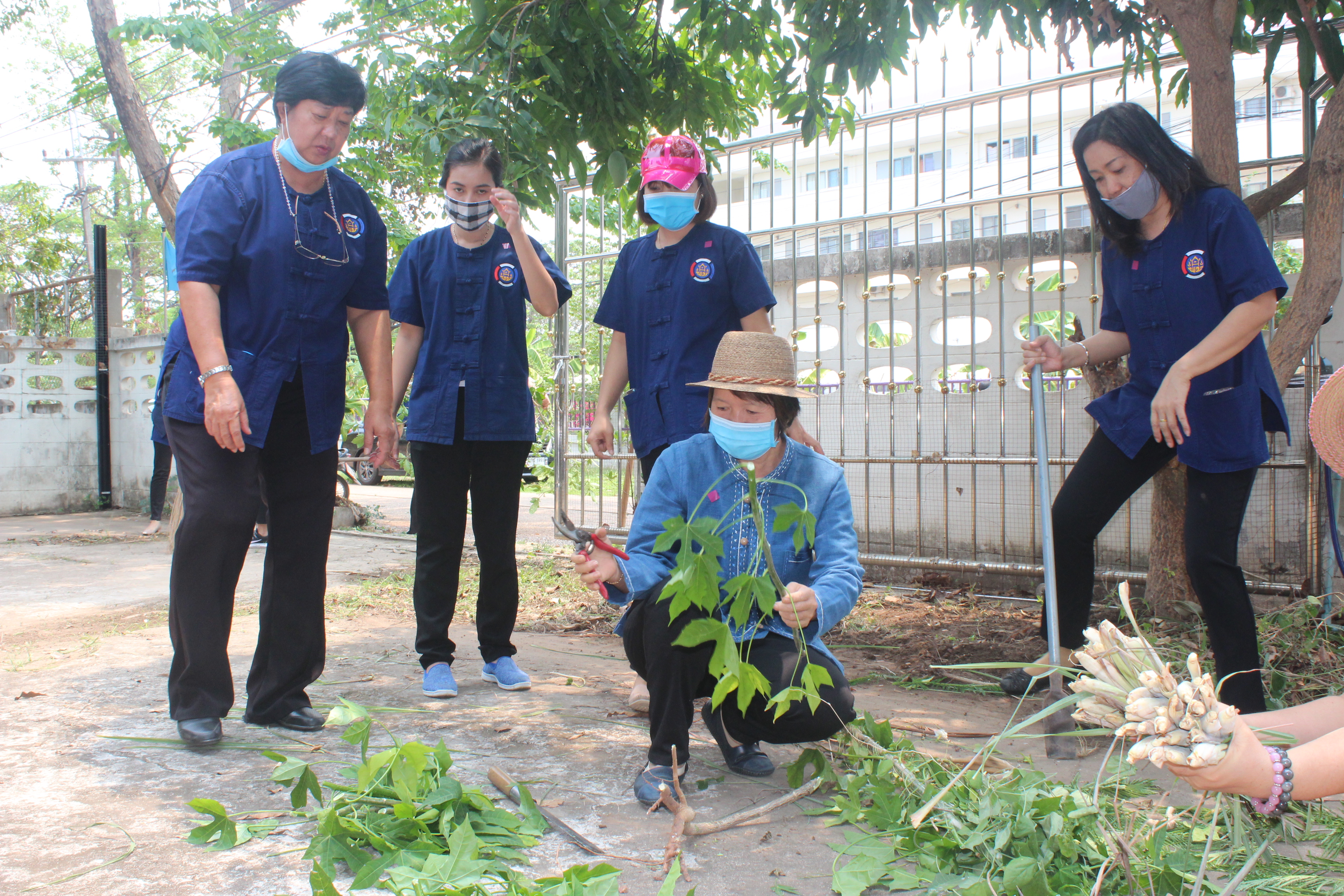 พช.หนองคาย ปลูกผักสวนครัว ขับเคลื่อนแผนปฎิบัติการ 90 วัน”