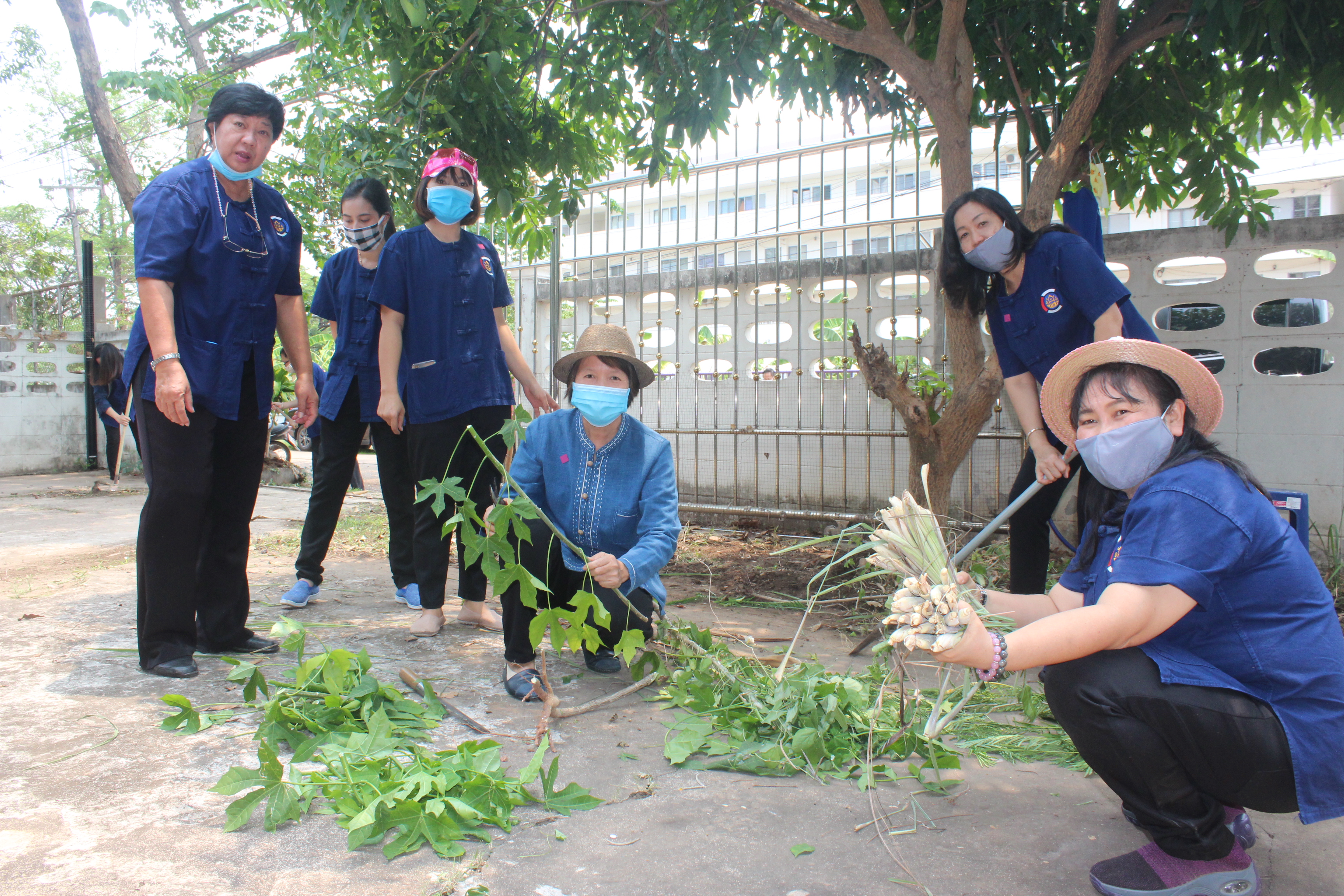 พช.หนองคาย ปลูกผักสวนครัว ขับเคลื่อนแผนปฎิบัติการ 90 วัน”