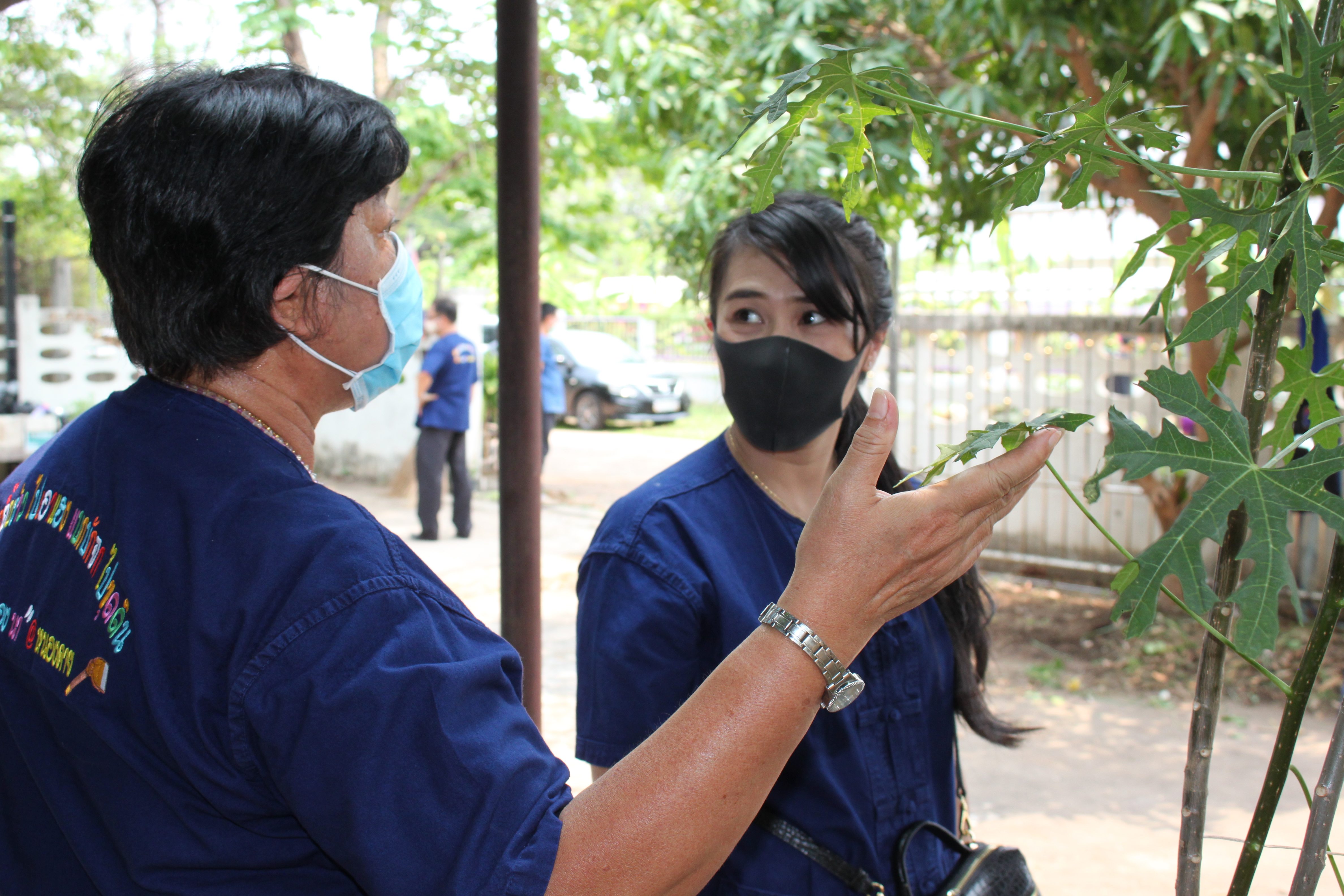 พช.หนองคาย ปลูกผักสวนครัว ขับเคลื่อนแผนปฎิบัติการ 90 วัน”