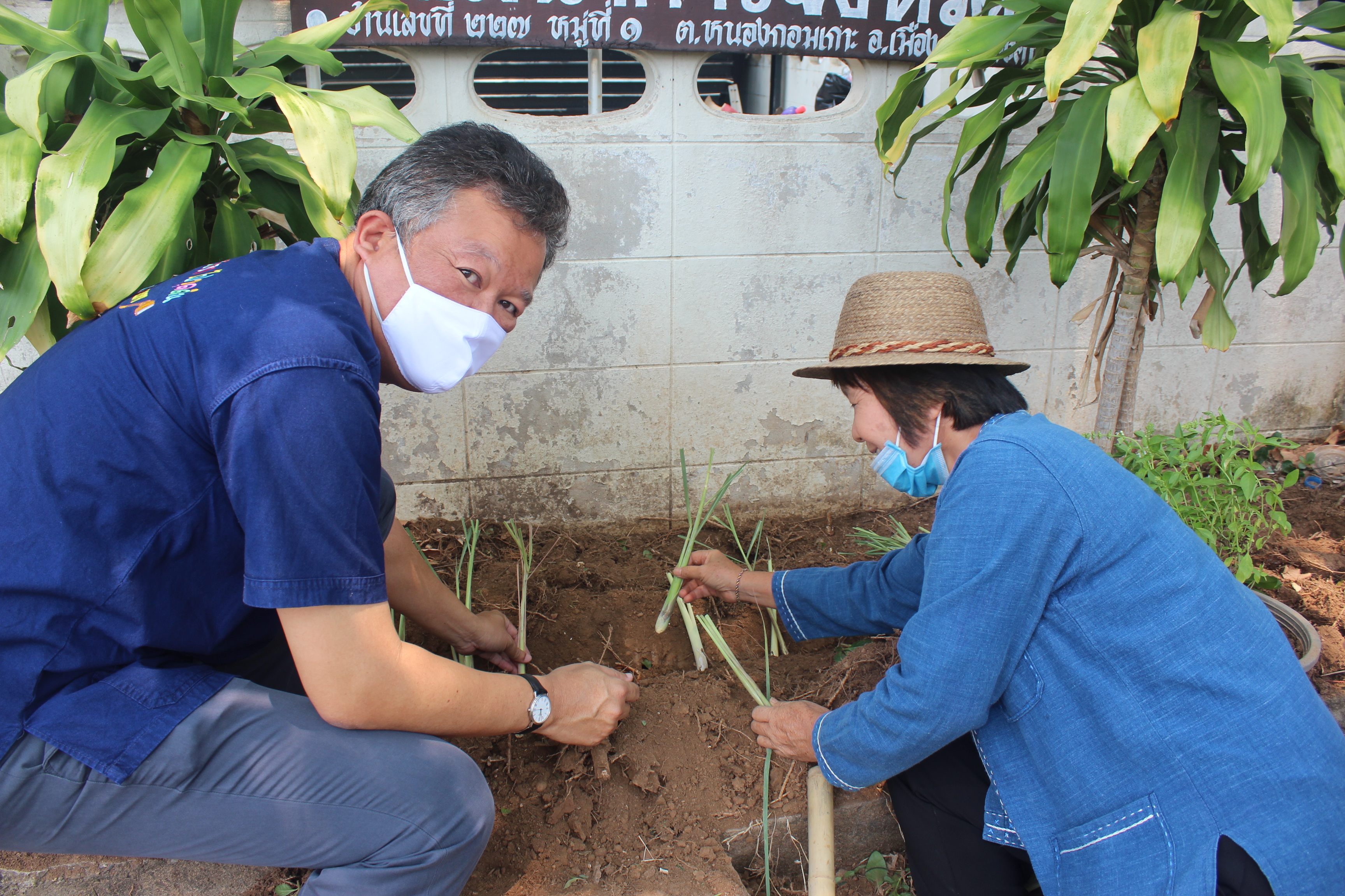 พช.หนองคาย ปลูกผักสวนครัว ขับเคลื่อนแผนปฎิบัติการ 90 วัน”