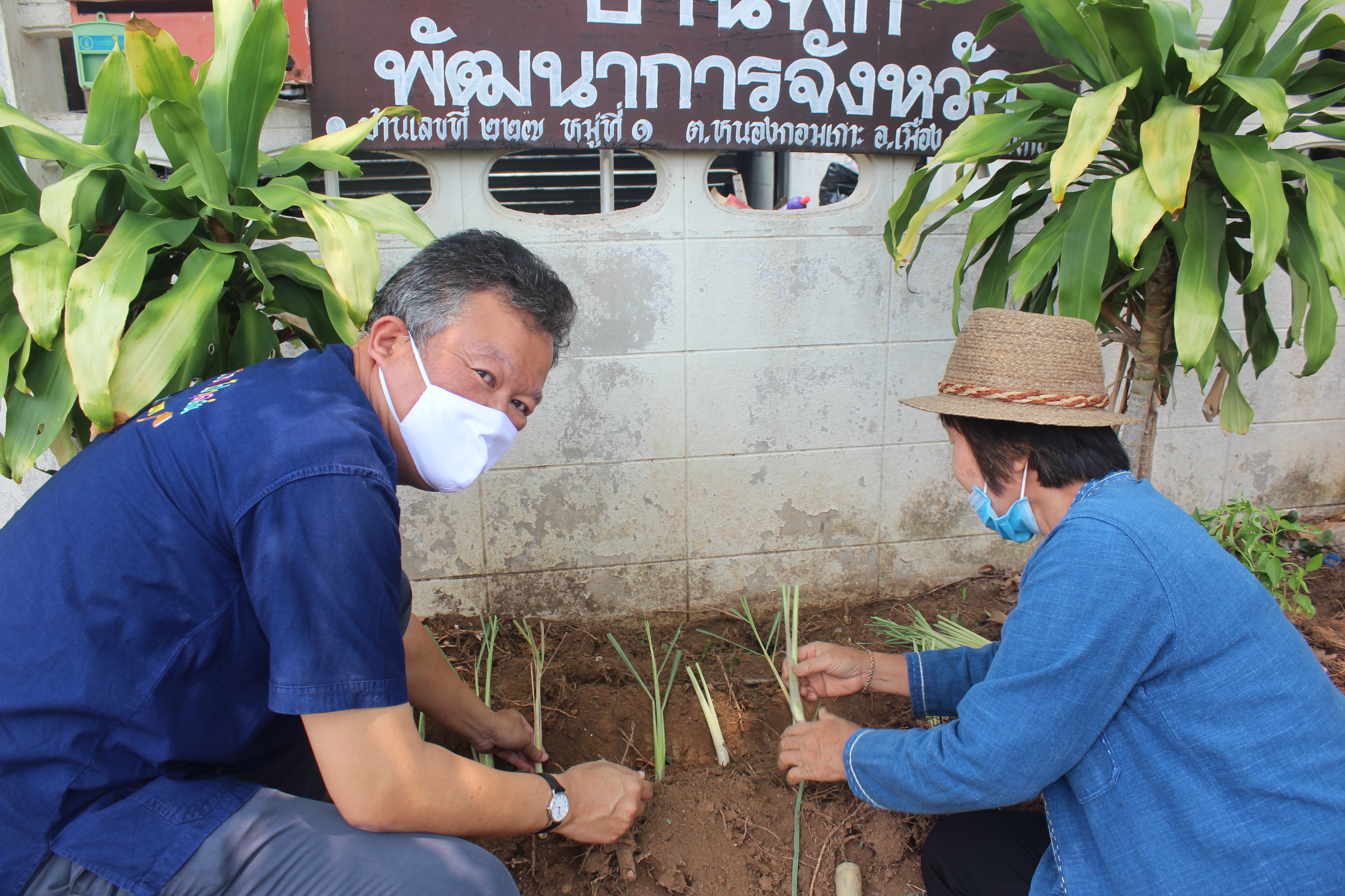พช.หนองคาย ปลูกผักสวนครัว ขับเคลื่อนแผนปฎิบัติการ 90 วัน”