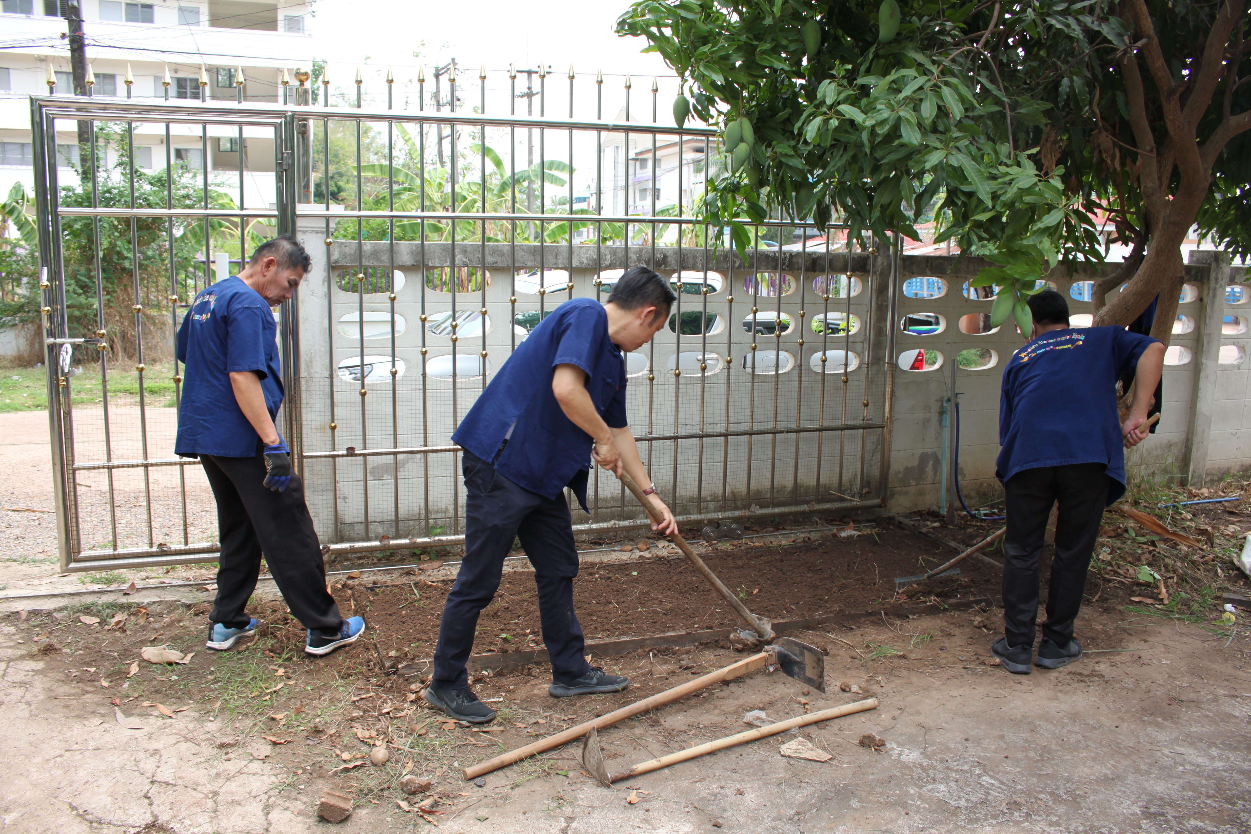 พช.หนองคาย ปลูกผักสวนครัว ขับเคลื่อนแผนปฎิบัติการ 90 วัน”