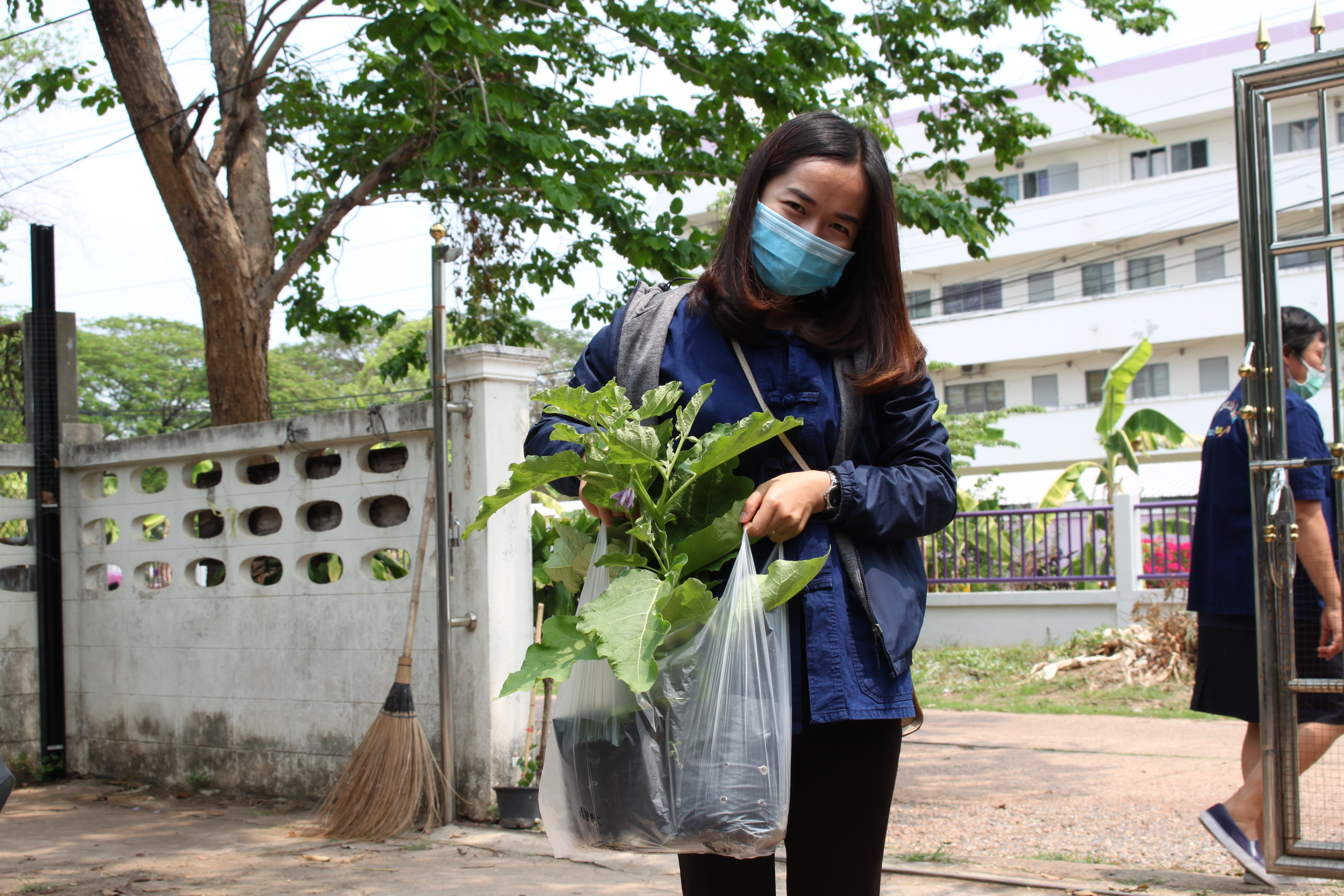 พช.หนองคาย ปลูกผักสวนครัว ขับเคลื่อนแผนปฎิบัติการ 90 วัน”