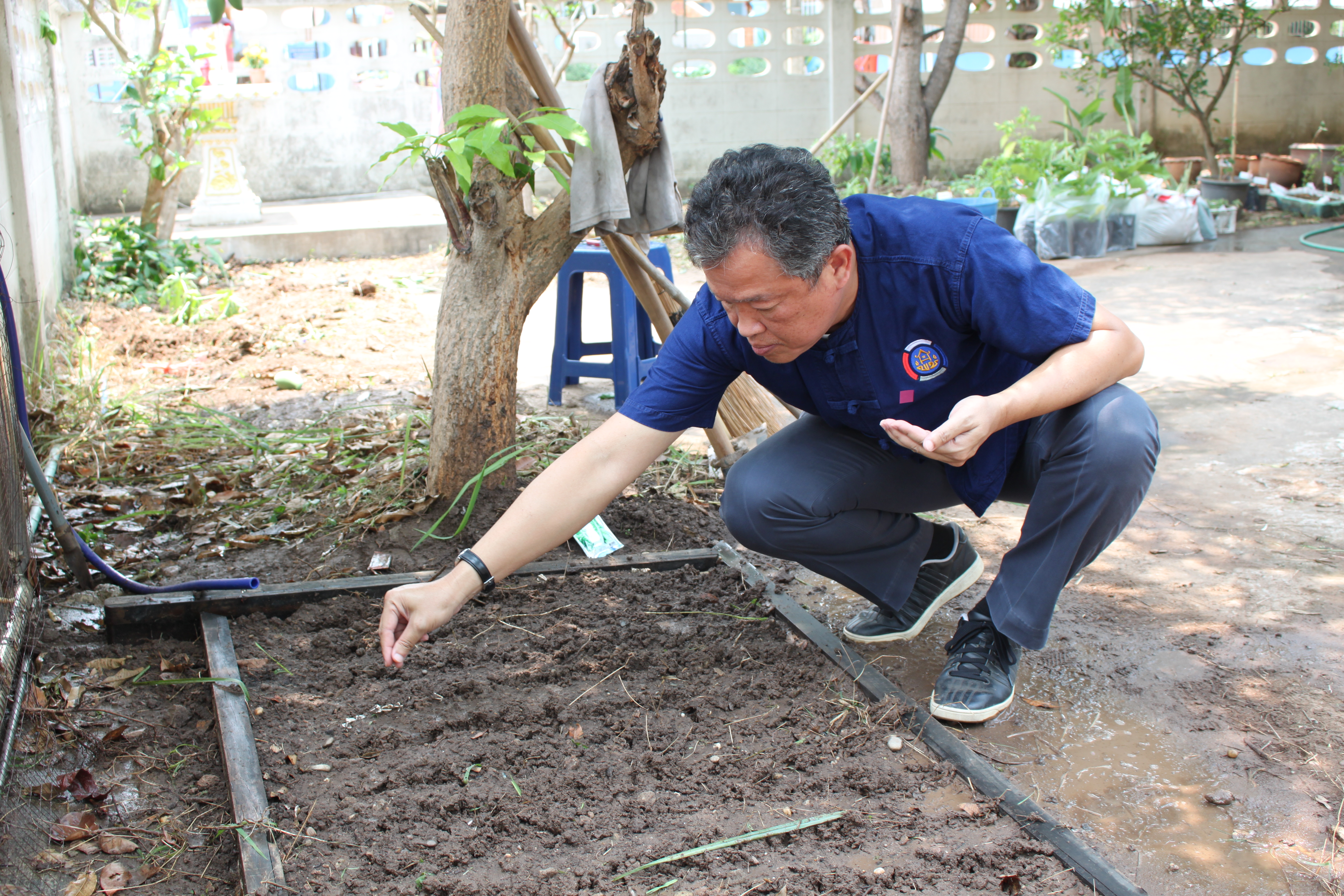 พช.หนองคาย ปลูกผักสวนครัว ขับเคลื่อนแผนปฎิบัติการ 90 วัน”