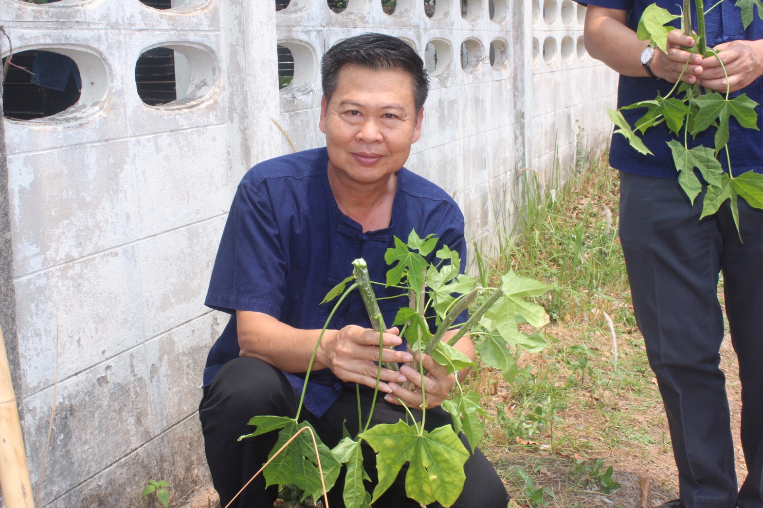 พช.หนองคาย ปลูกผักสวนครัว ขับเคลื่อนแผนปฎิบัติการ 90 วัน”