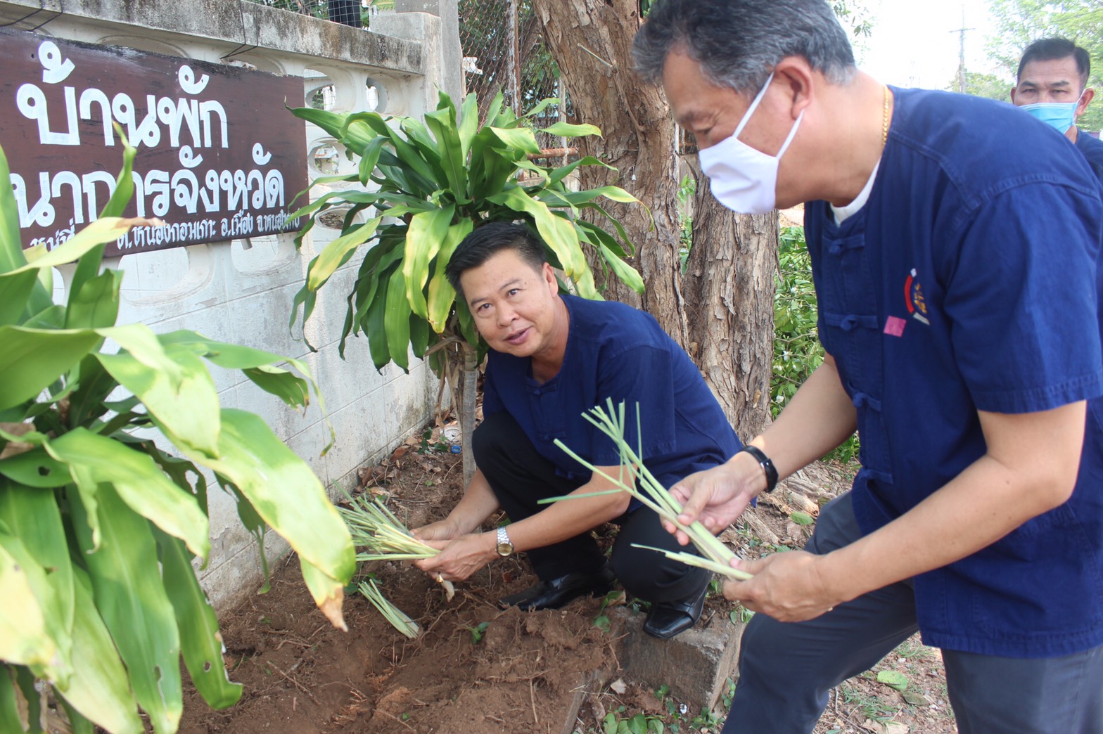 พช.หนองคาย ปลูกผักสวนครัว ขับเคลื่อนแผนปฎิบัติการ 90 วัน”