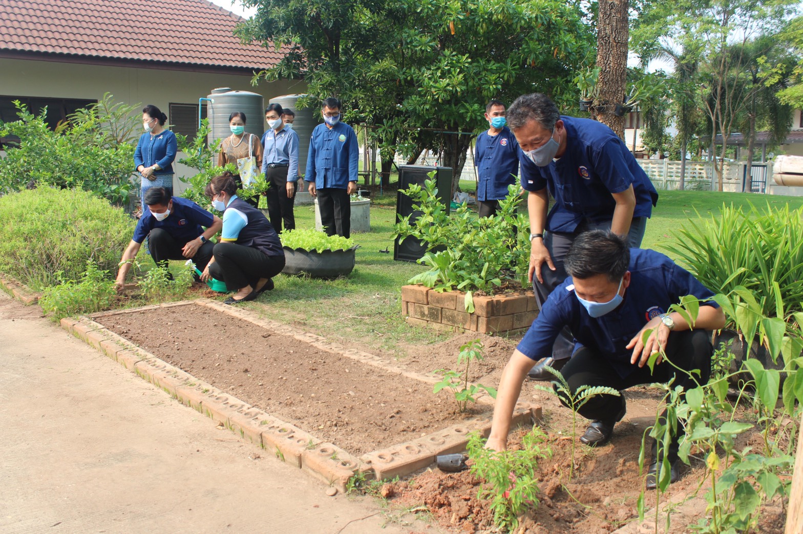 พช.หนองคายจัดกิจกรรม “ผู้ว่าพาปลูกผัก บ้านนี้มีรัก ปลูกผักกินเอง”