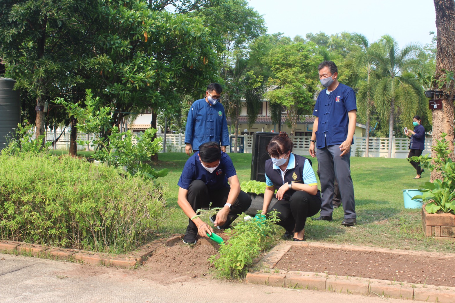 พช.หนองคายจัดกิจกรรม “ผู้ว่าพาปลูกผัก บ้านนี้มีรัก ปลูกผักกินเอง”