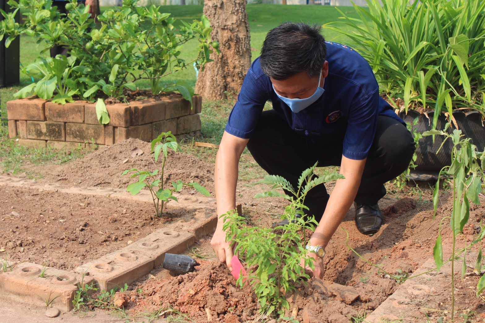 พช.หนองคายจัดกิจกรรม “ผู้ว่าพาปลูกผัก บ้านนี้มีรัก ปลูกผักกินเอง”