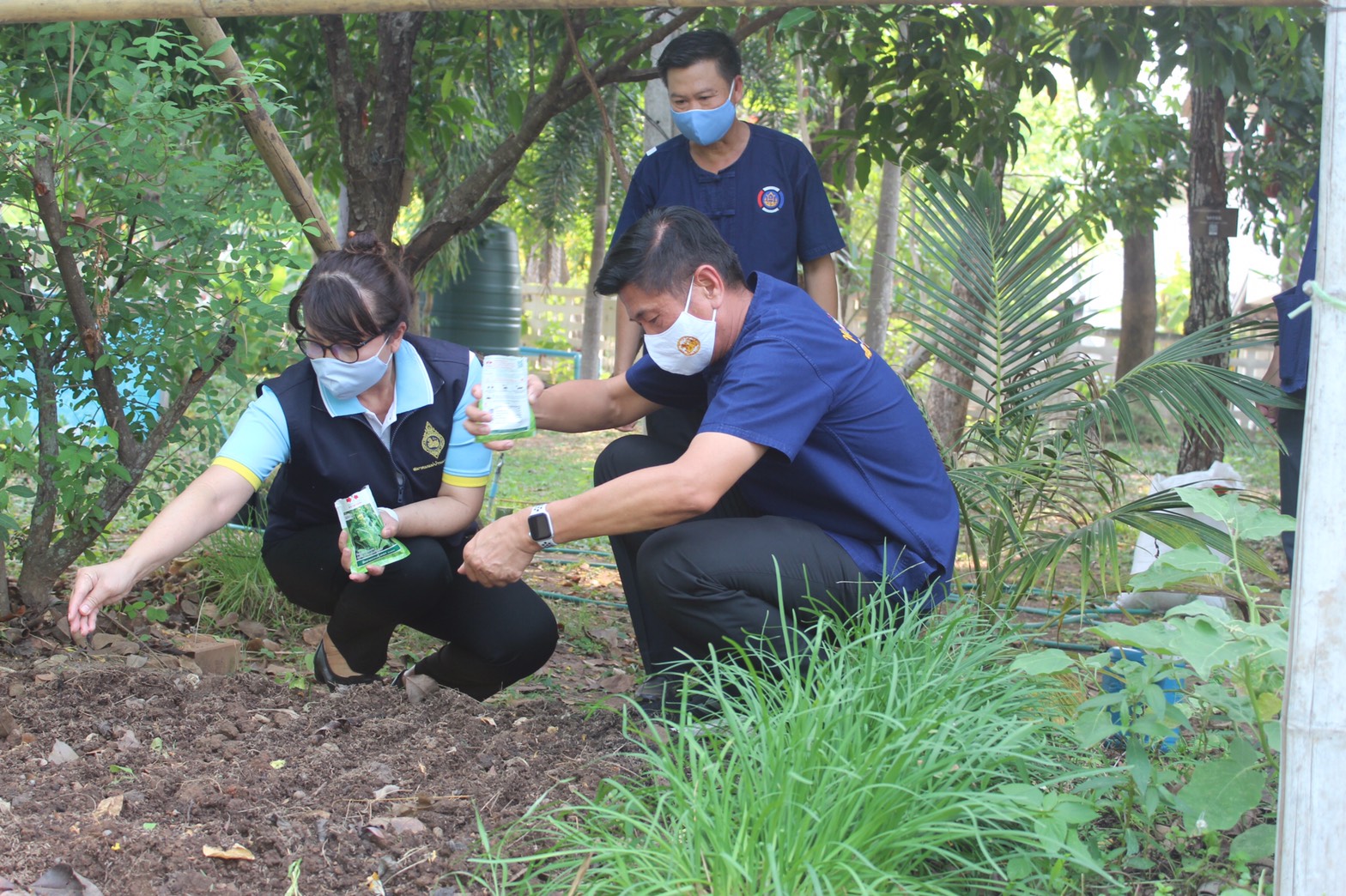 พช.หนองคายจัดกิจกรรม “ผู้ว่าพาปลูกผัก บ้านนี้มีรัก ปลูกผักกินเอง”