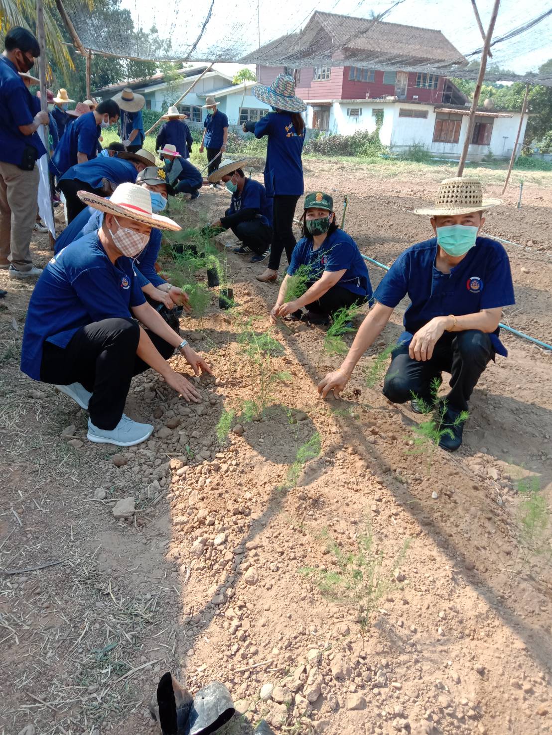 “พัฒนาการจังหวัดหนองคาย ร่วมกิจกรรมปลูกผัก และปลูกต้นไม้” โครงการปลูกป่าเฉลิมพระเกียรติ เนื่องในโอกาสมหามงคลพระราชพิธีบรมราชาภิเษกครบรอบ 1 ปี เพื่อถวายเป็นพระราชกุศลพระบาทสมเด็จพระปรเมนทรรามาธิบดีศรีสินทรมหาวชิราลงกรณ พระวชิรเกล้าเจ้าอยู่หัว